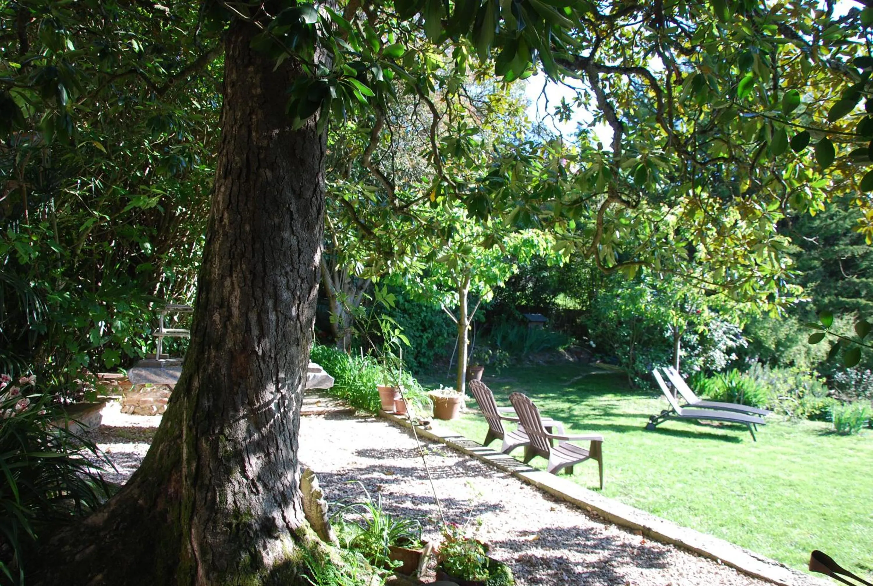Garden in Ombre Rose