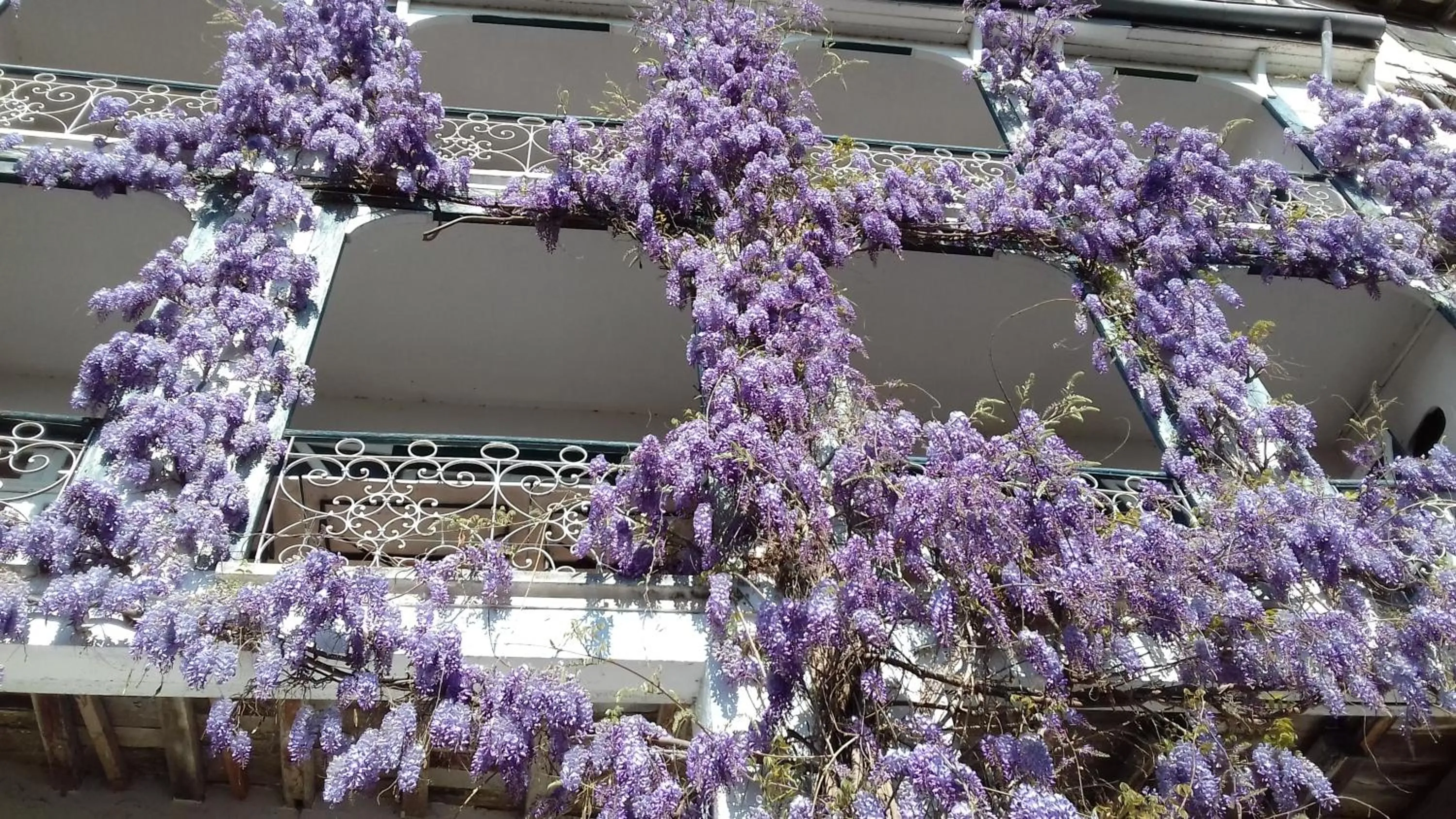 Property building in Ombre Rose