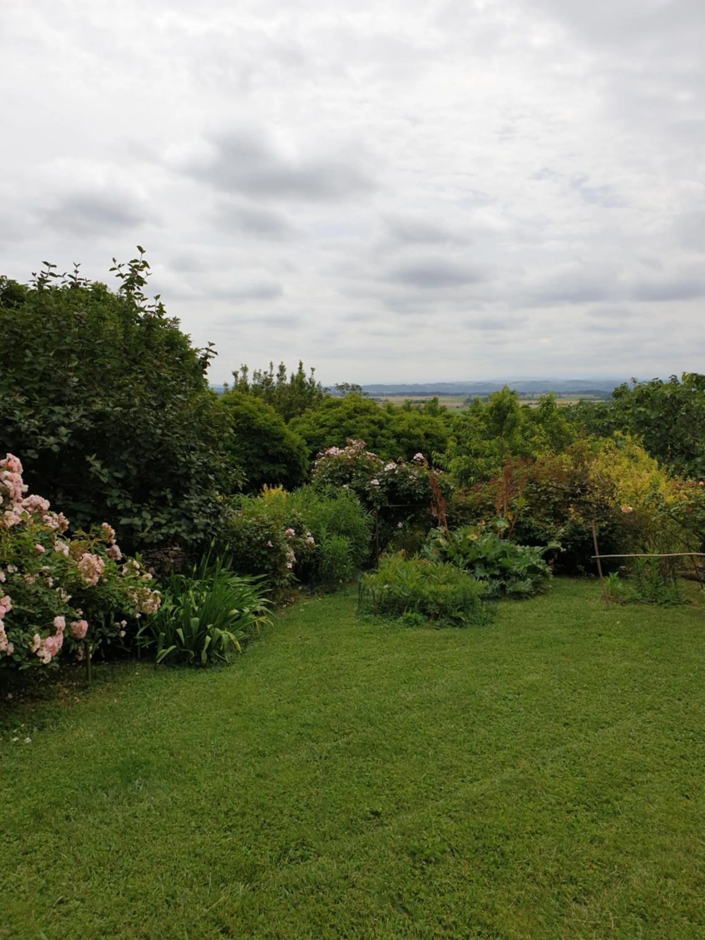 Garden in Ombre Rose