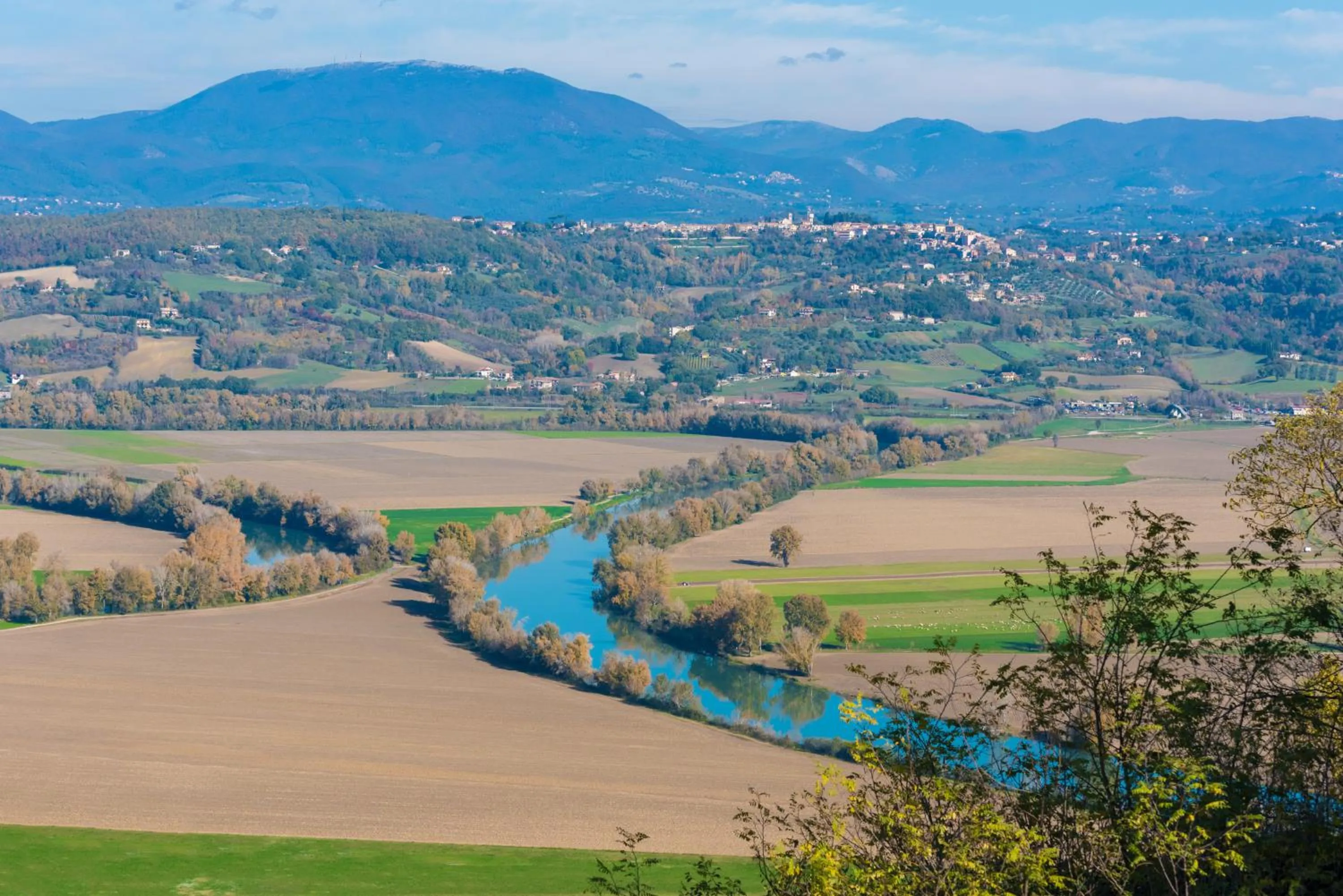 Bird's eye view in Roma Domus Hotel