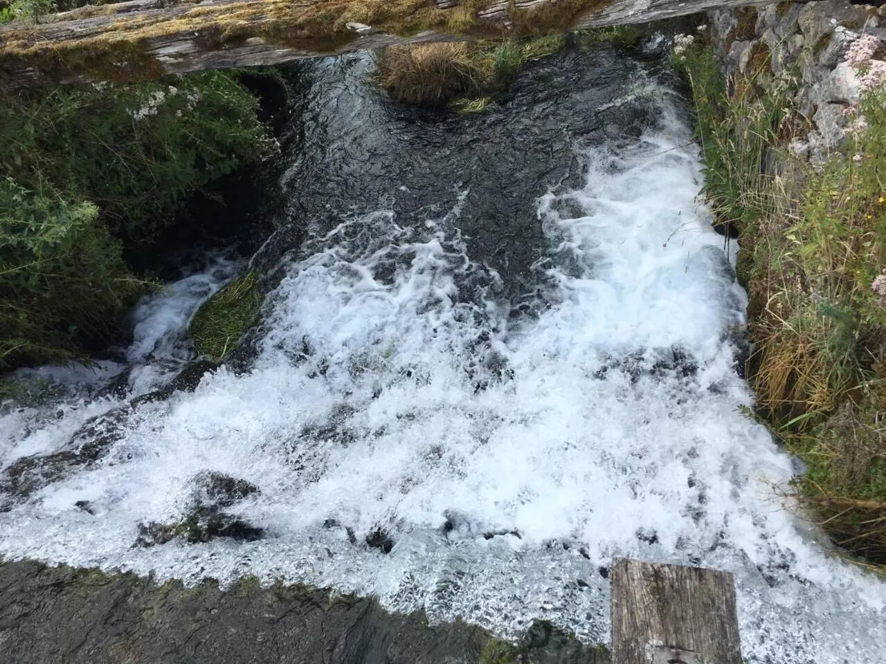 Hotel Park Exclusive