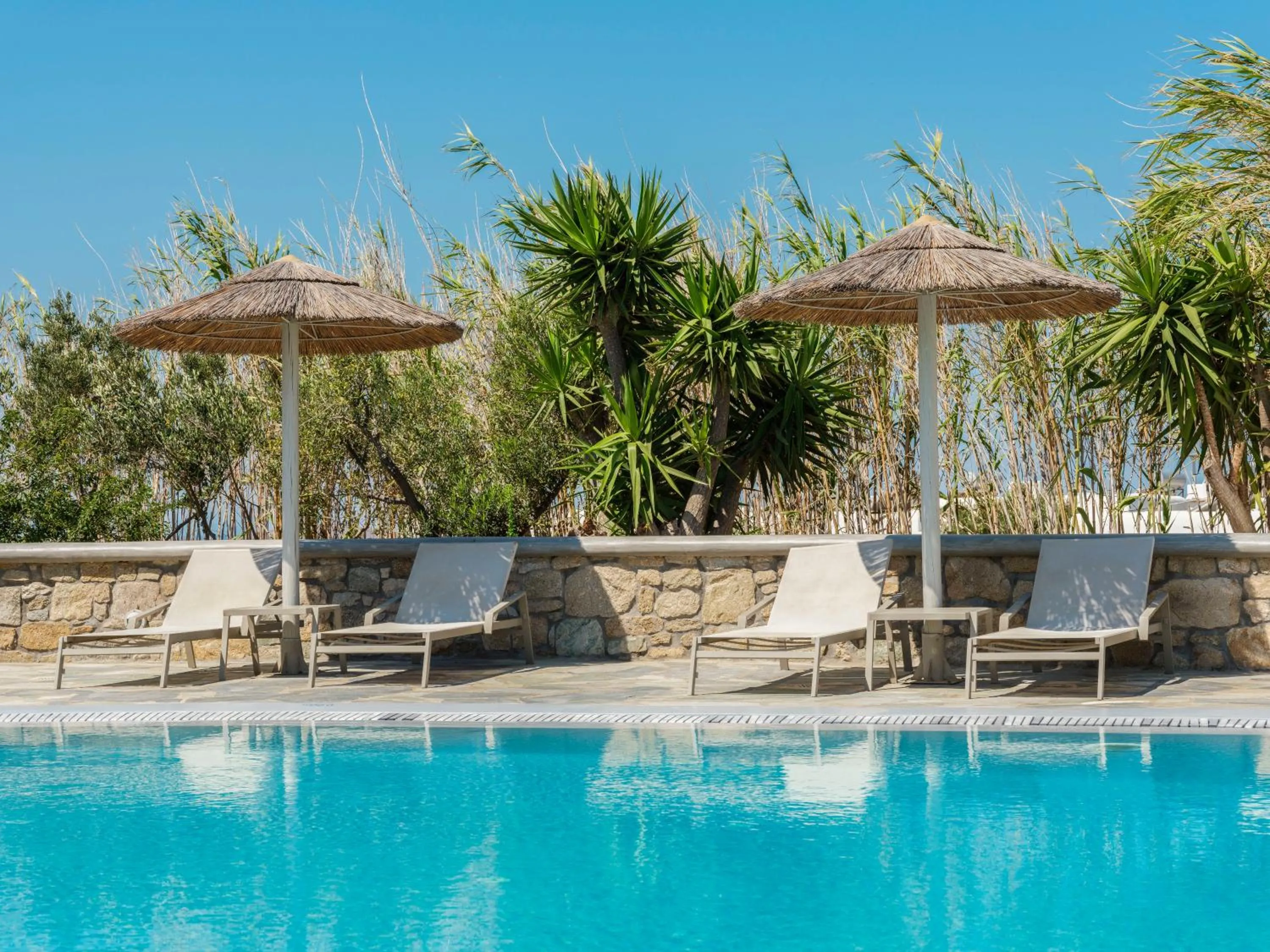 Garden in Jason Hotel