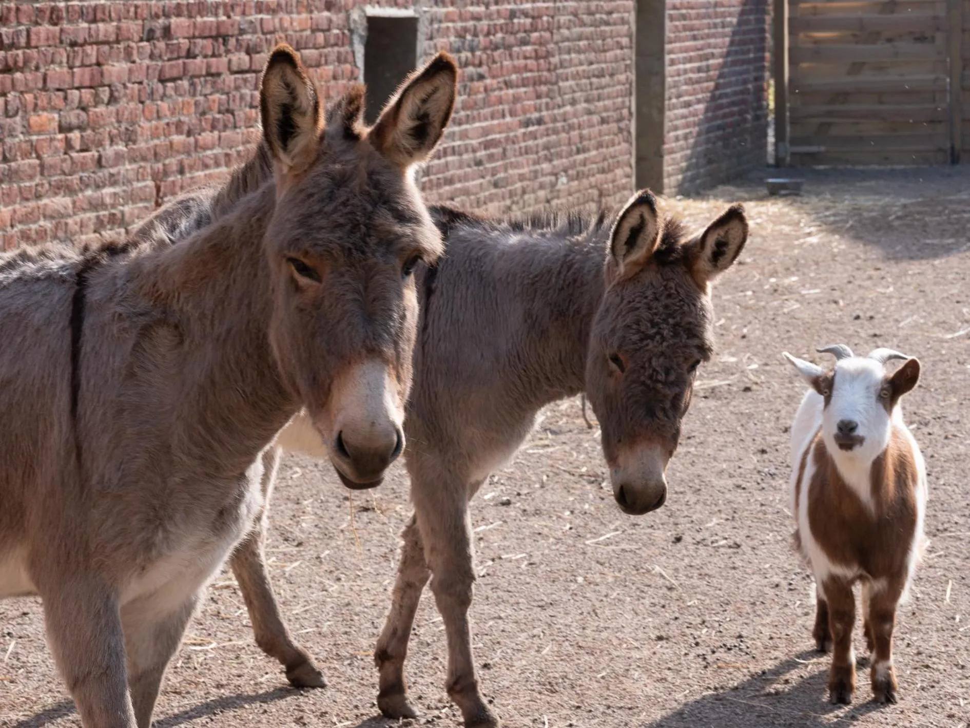 Le Château De Beaulieu