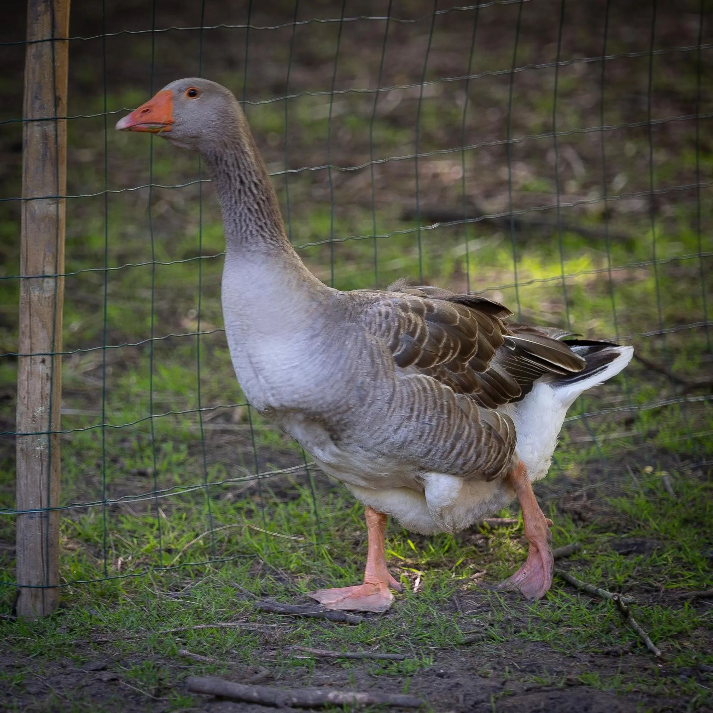 Le Château De Beaulieu