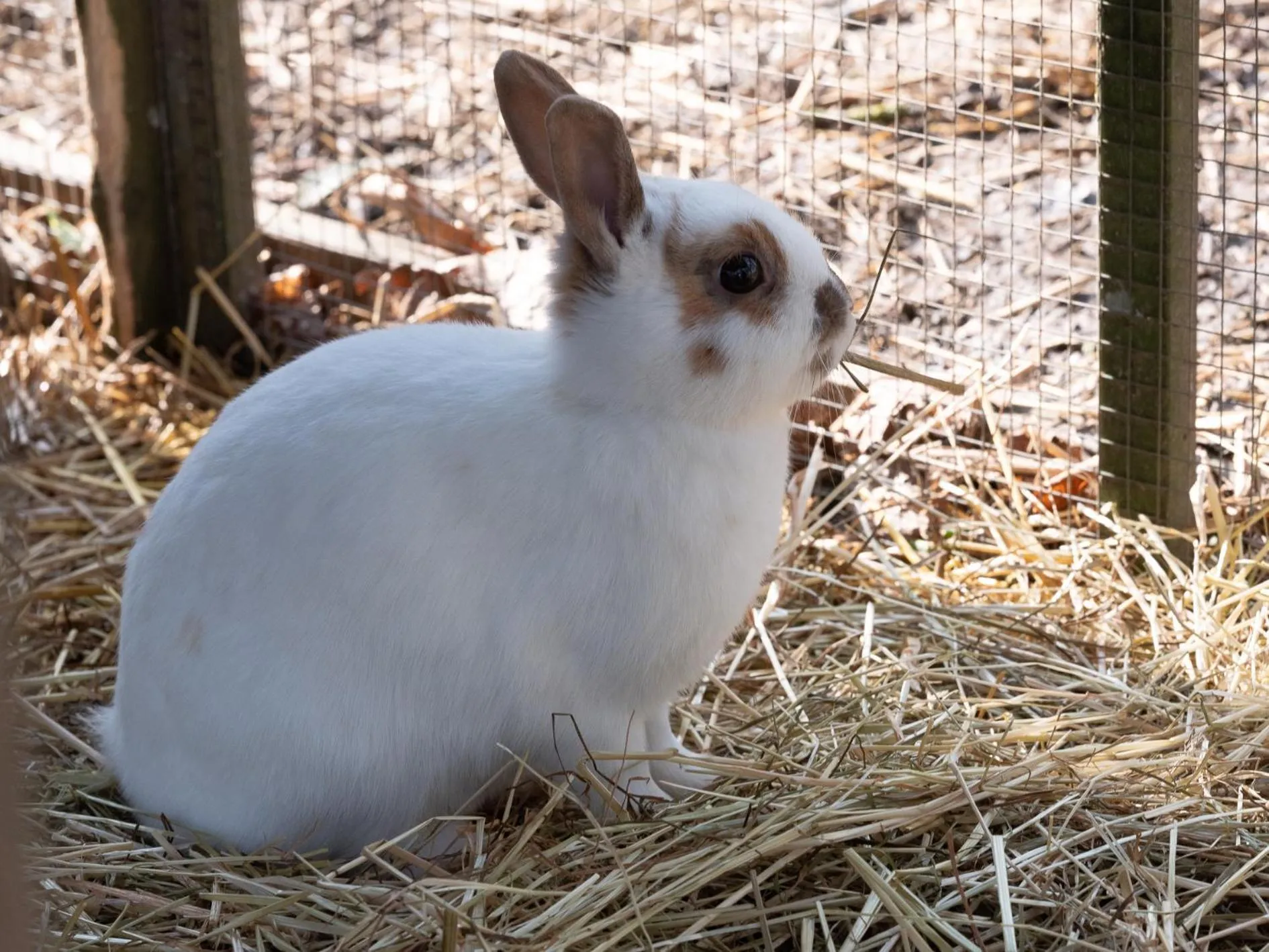 Le Château De Beaulieu