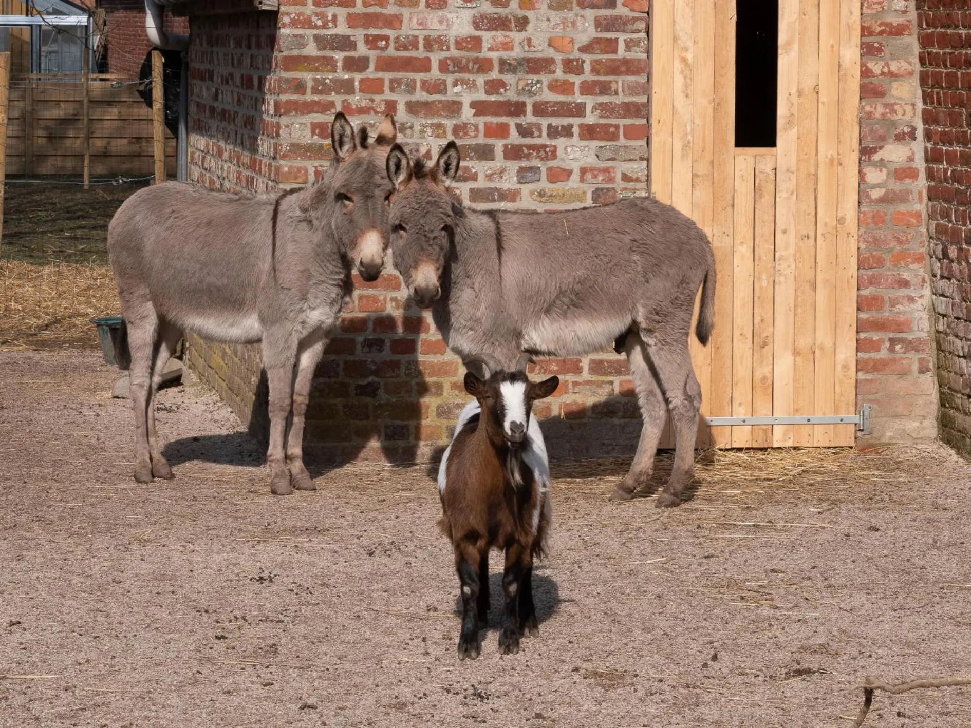 Le Château De Beaulieu