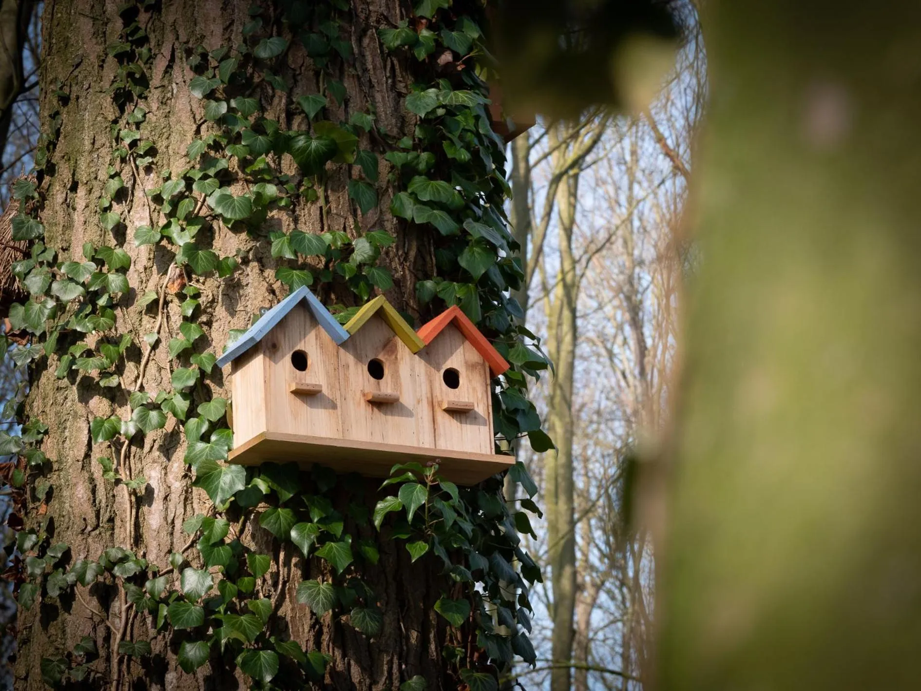 Le Château De Beaulieu