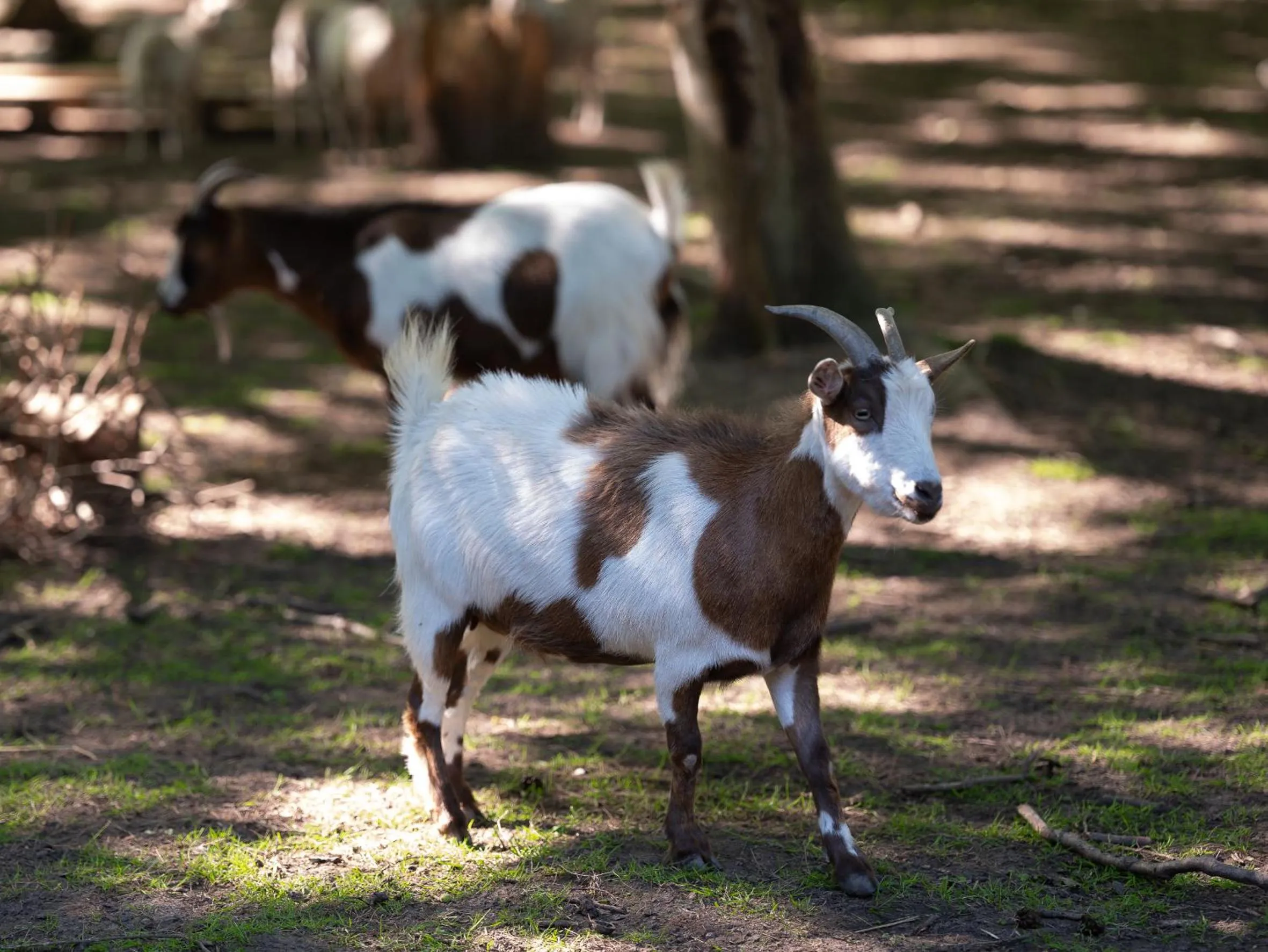 Le Château De Beaulieu