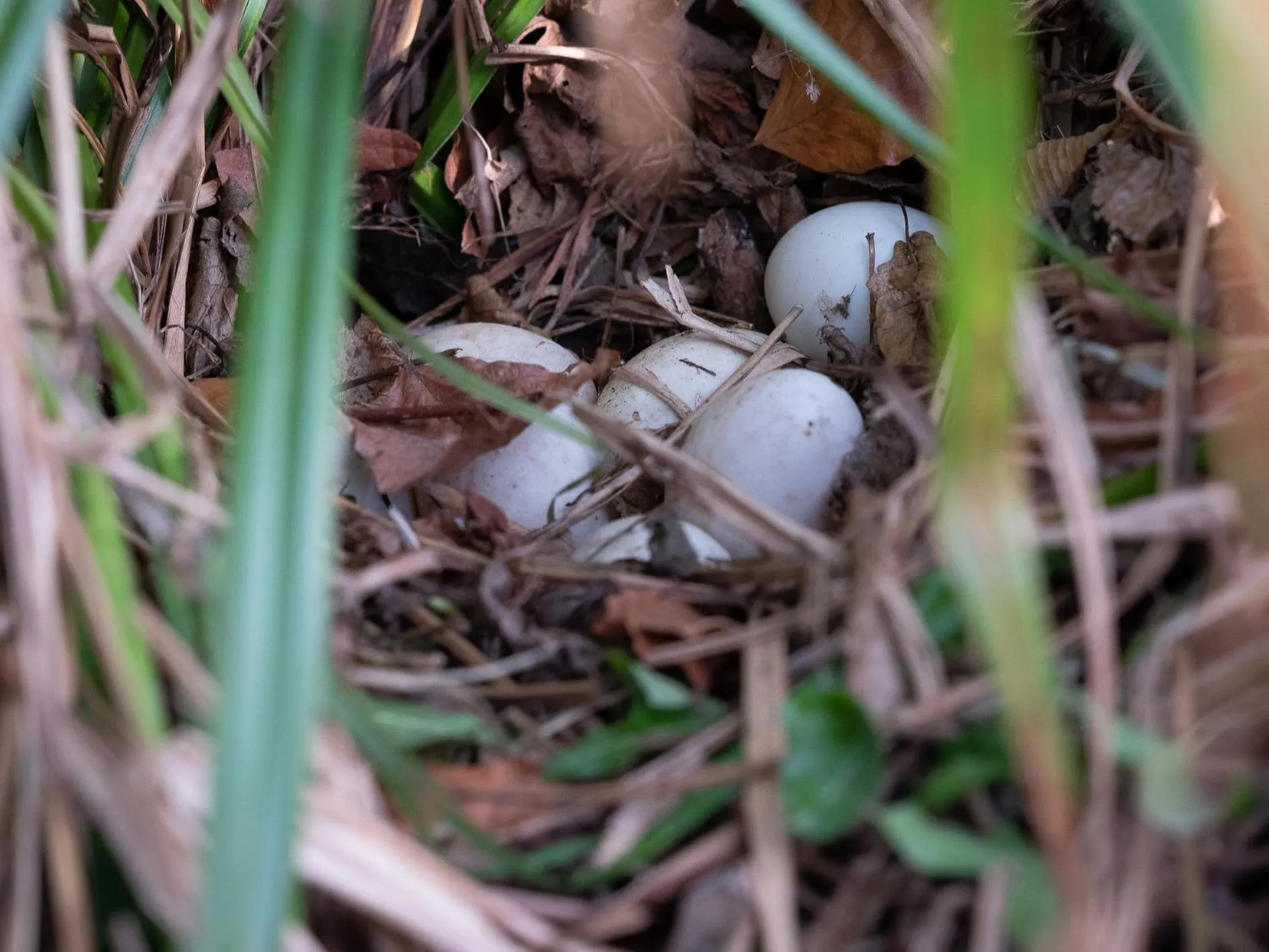Le Château De Beaulieu