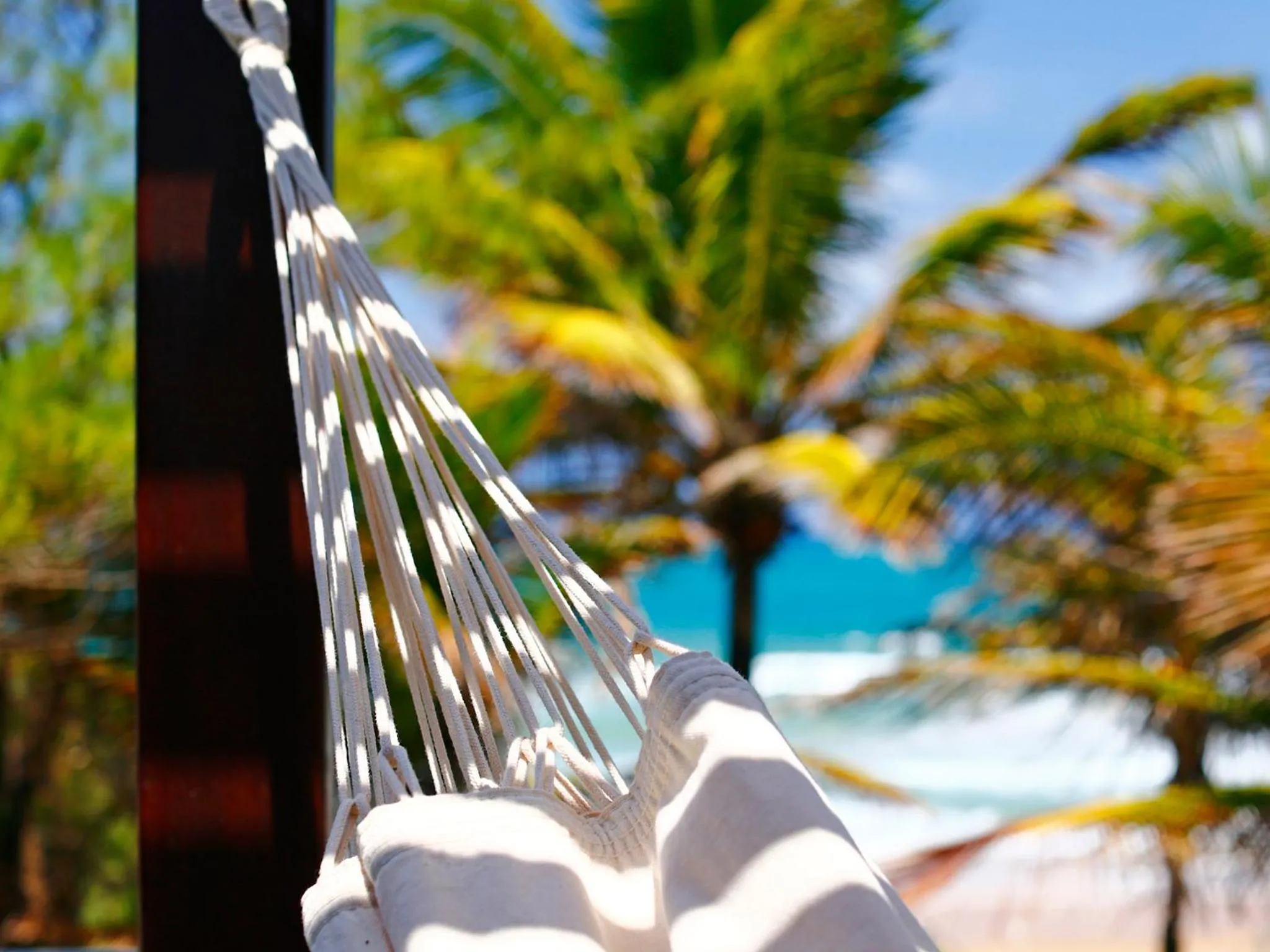 Balcony/Terrace in Pousada Ecoporto