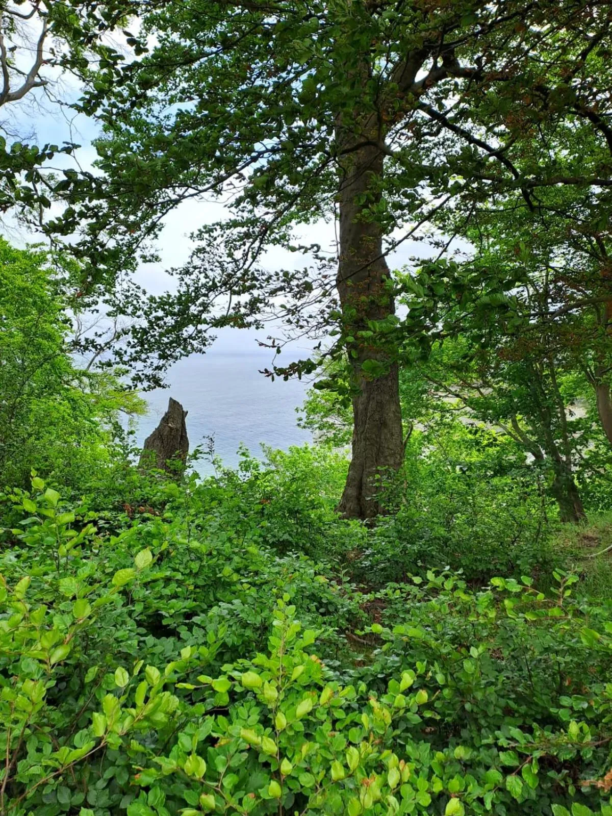 Off site in Gästehaus Windflüchter