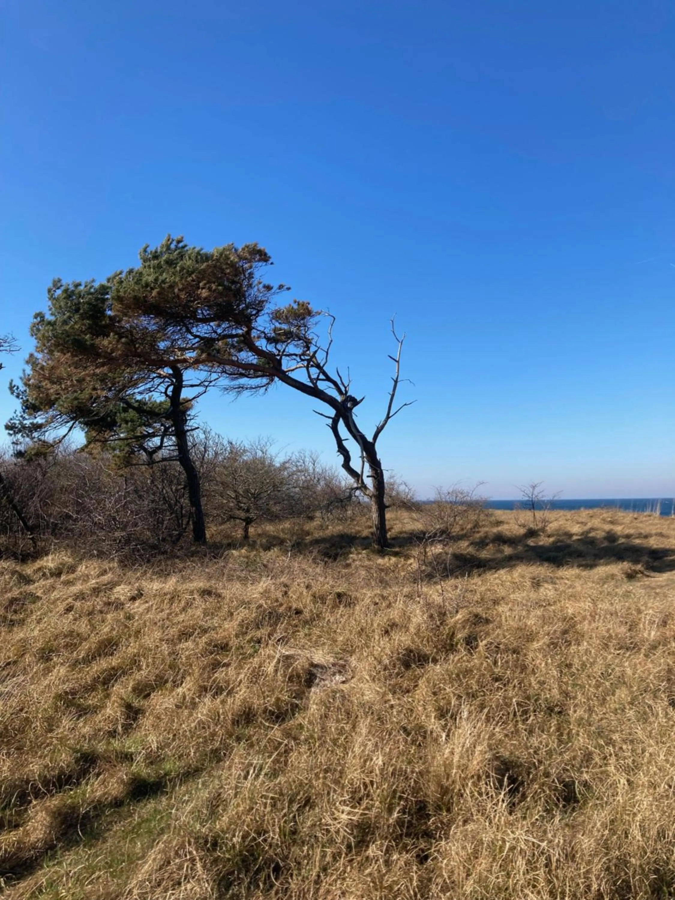 Off site in Gästehaus Windflüchter