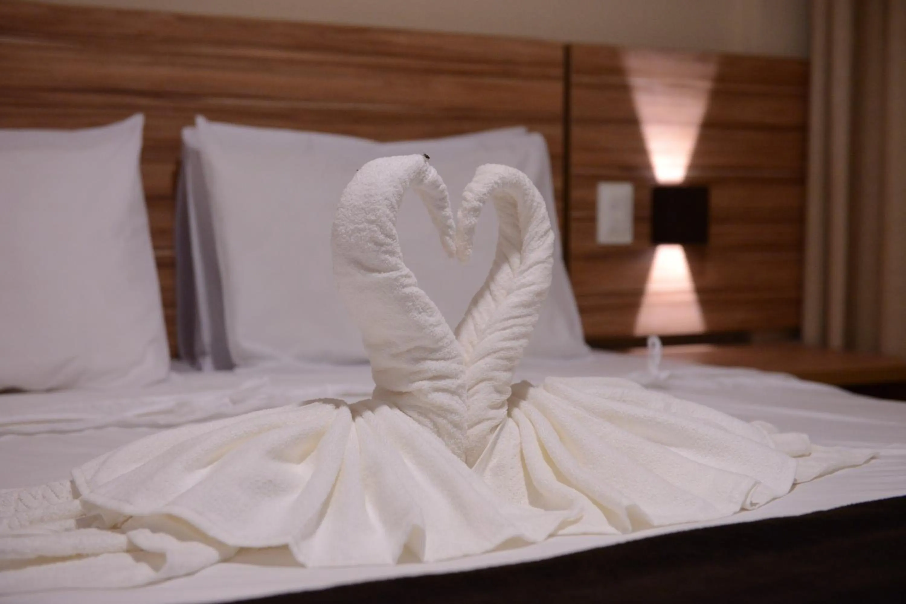 Decorative detail, Bed in Pousada Recanto do Lobo