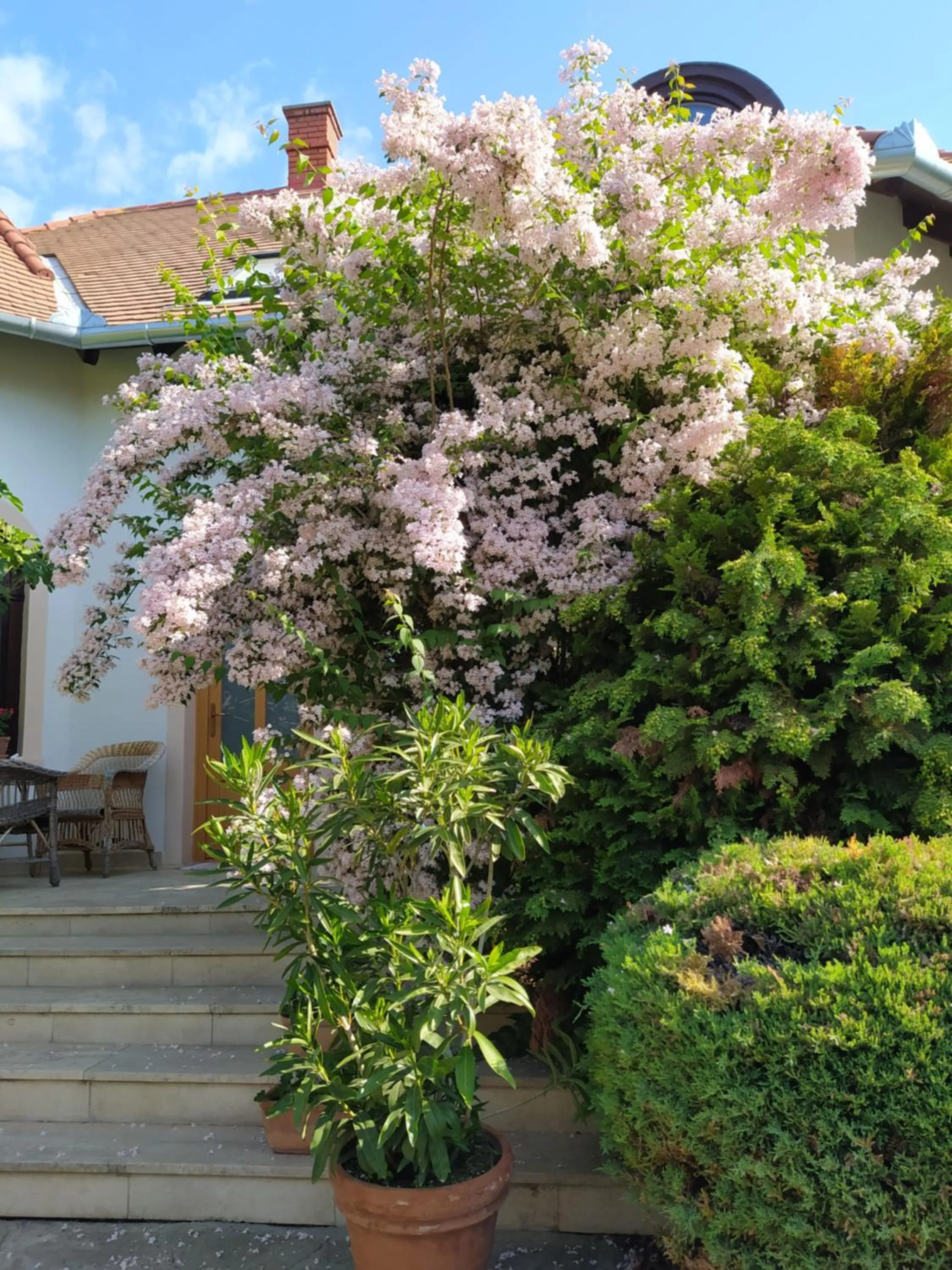 Spring in Frutta Villa