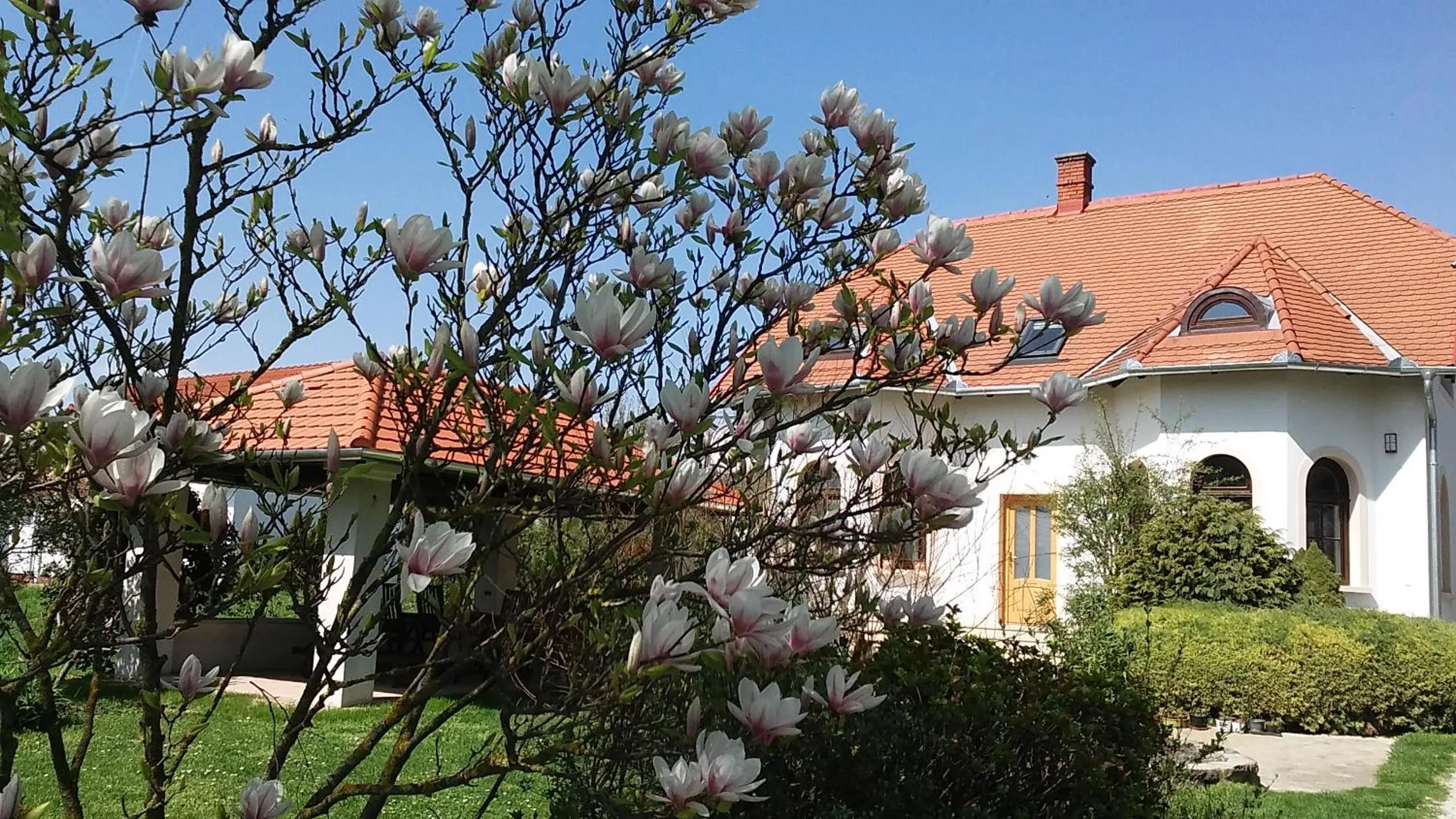 Property building in Frutta Villa