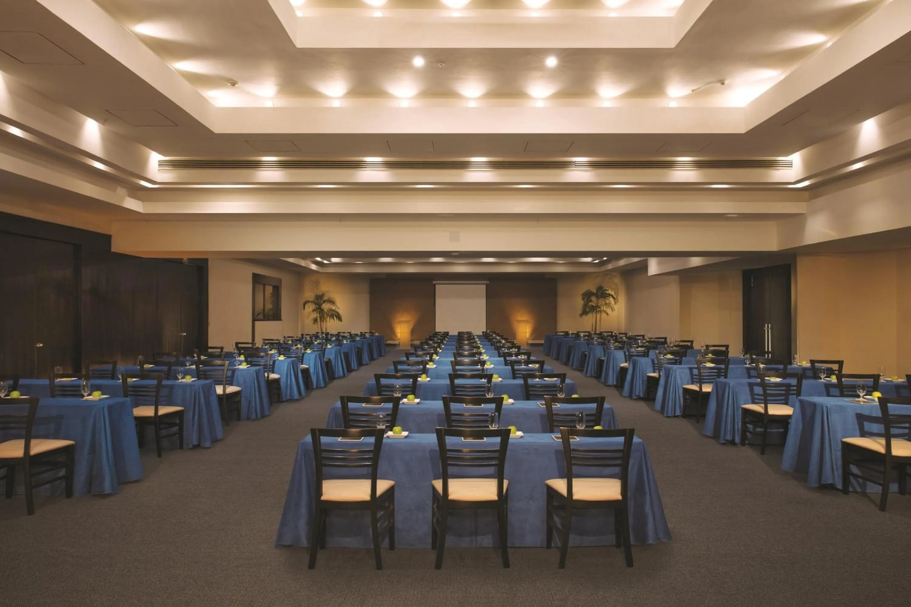Meeting/conference room in Dreams Huatulco Resort & Spa