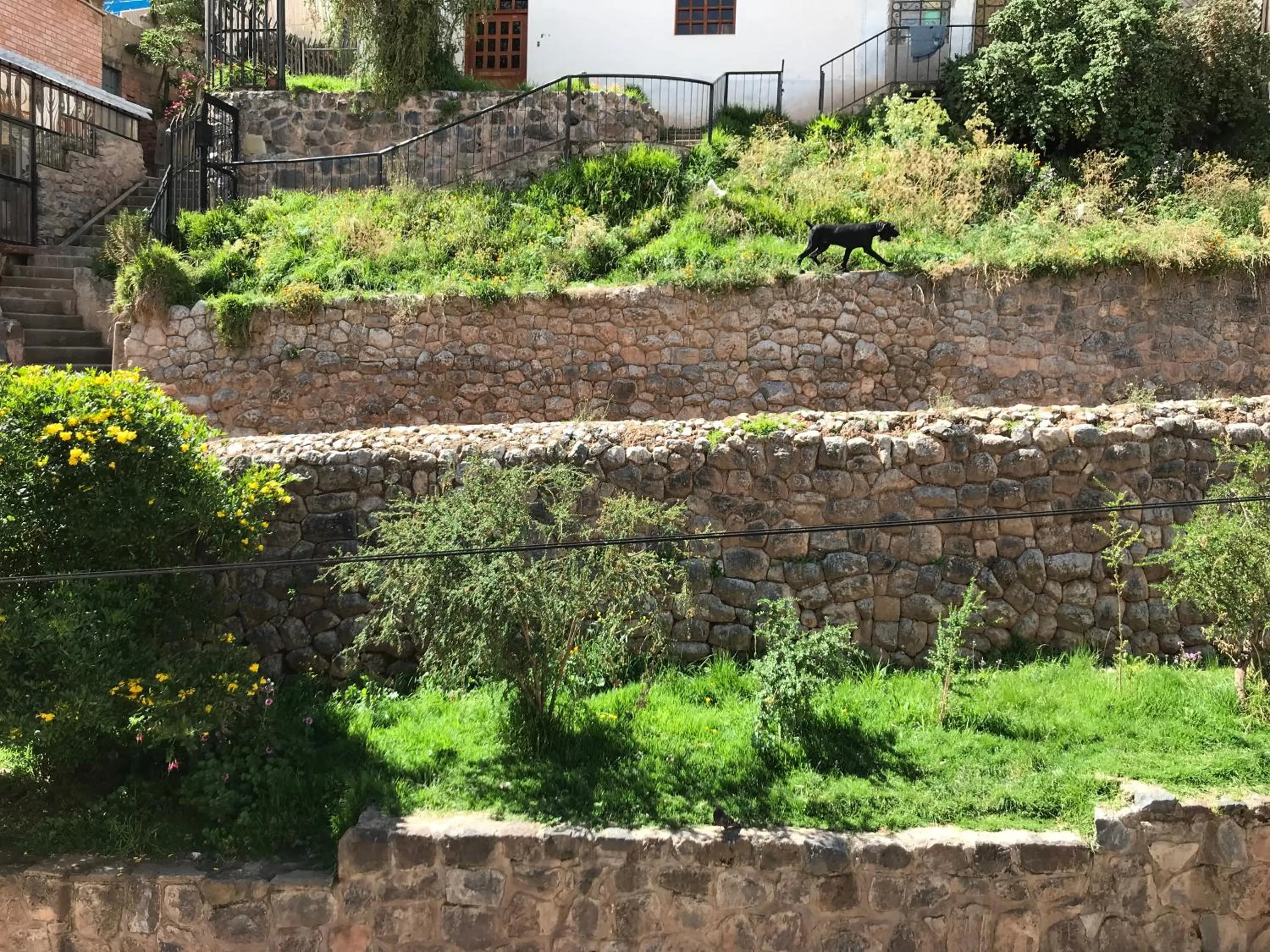 Garden view in Namaste House