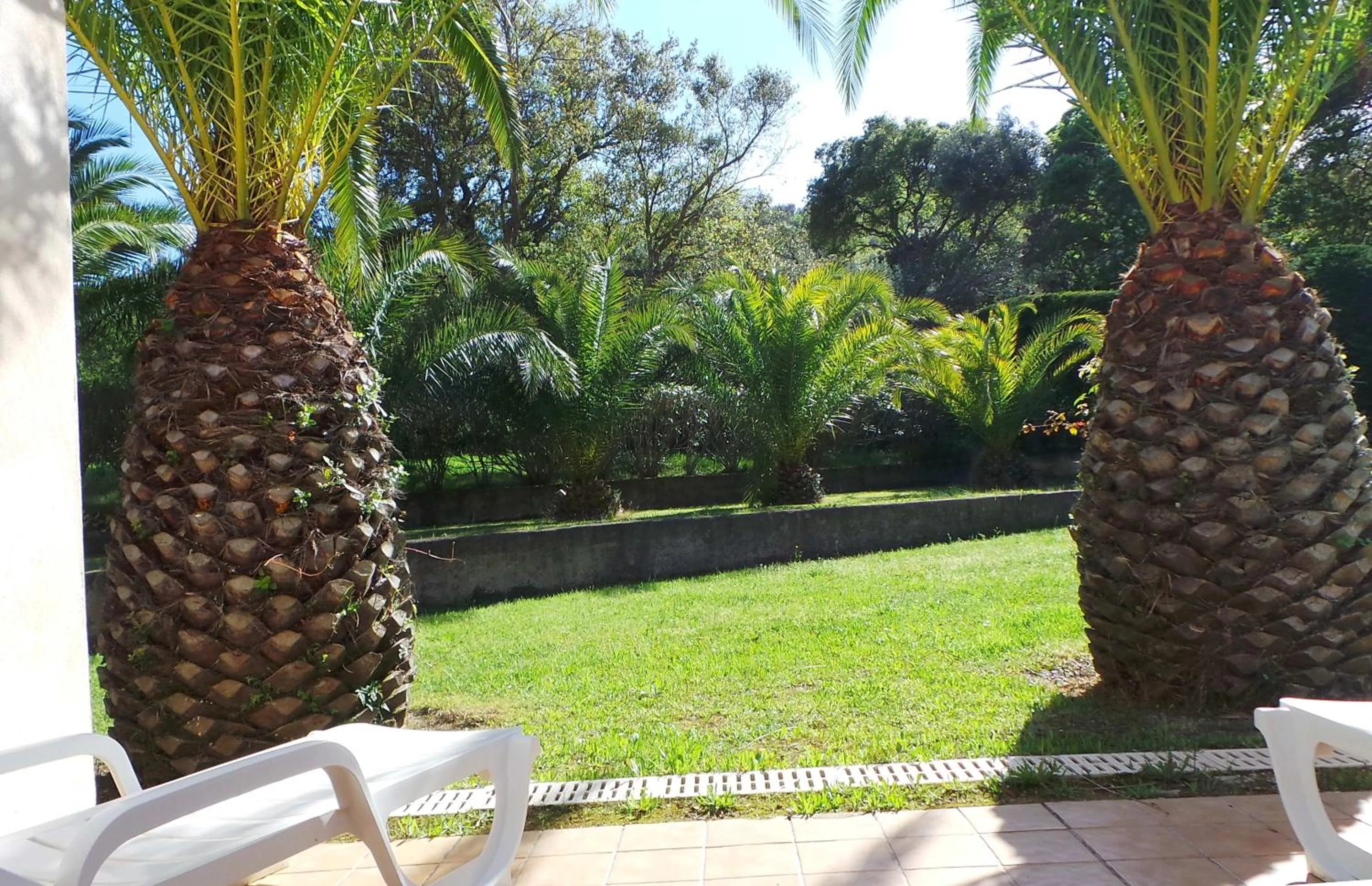 Balcony/Terrace in Hotel Olmuccio