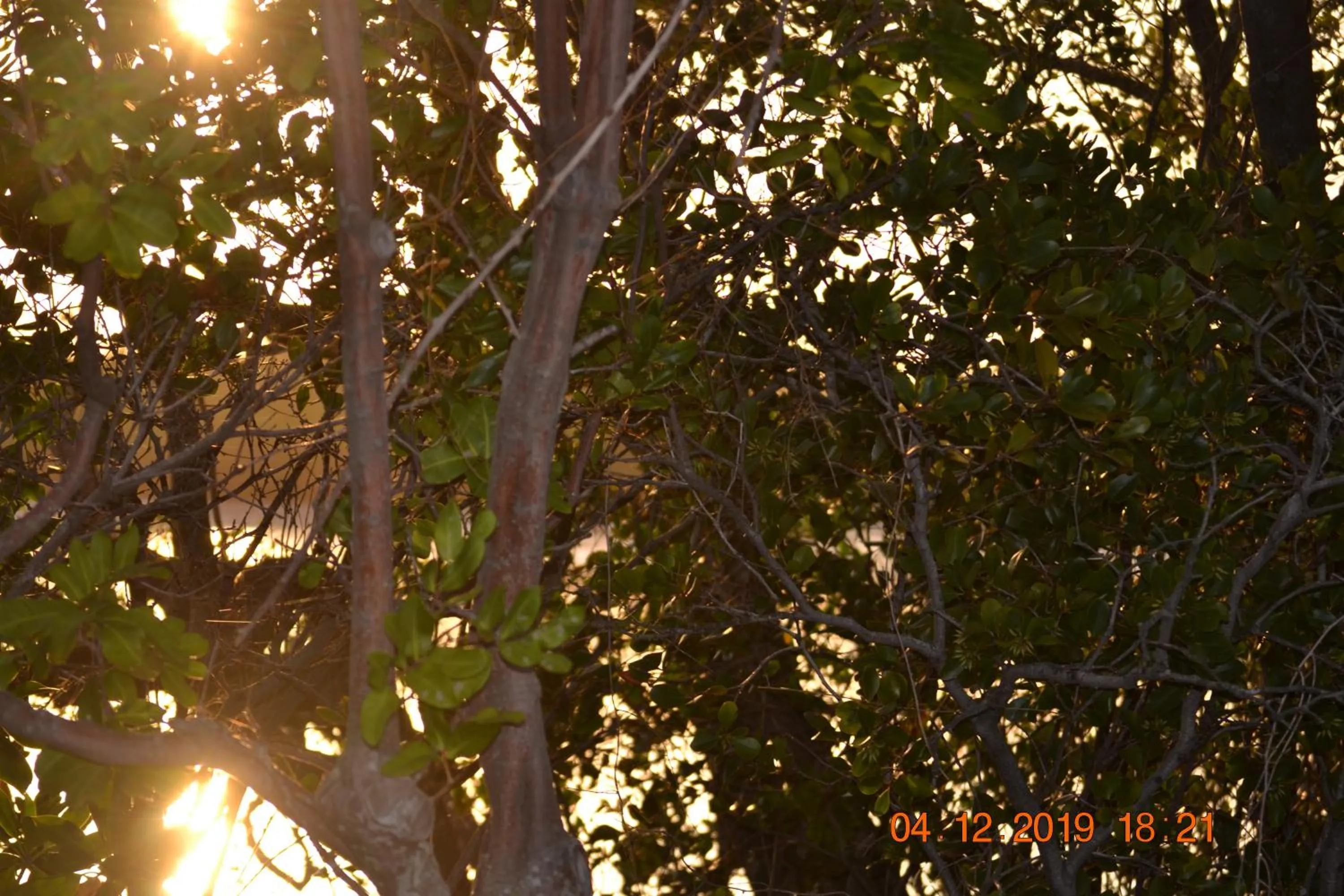 Day in Calico Court Motel