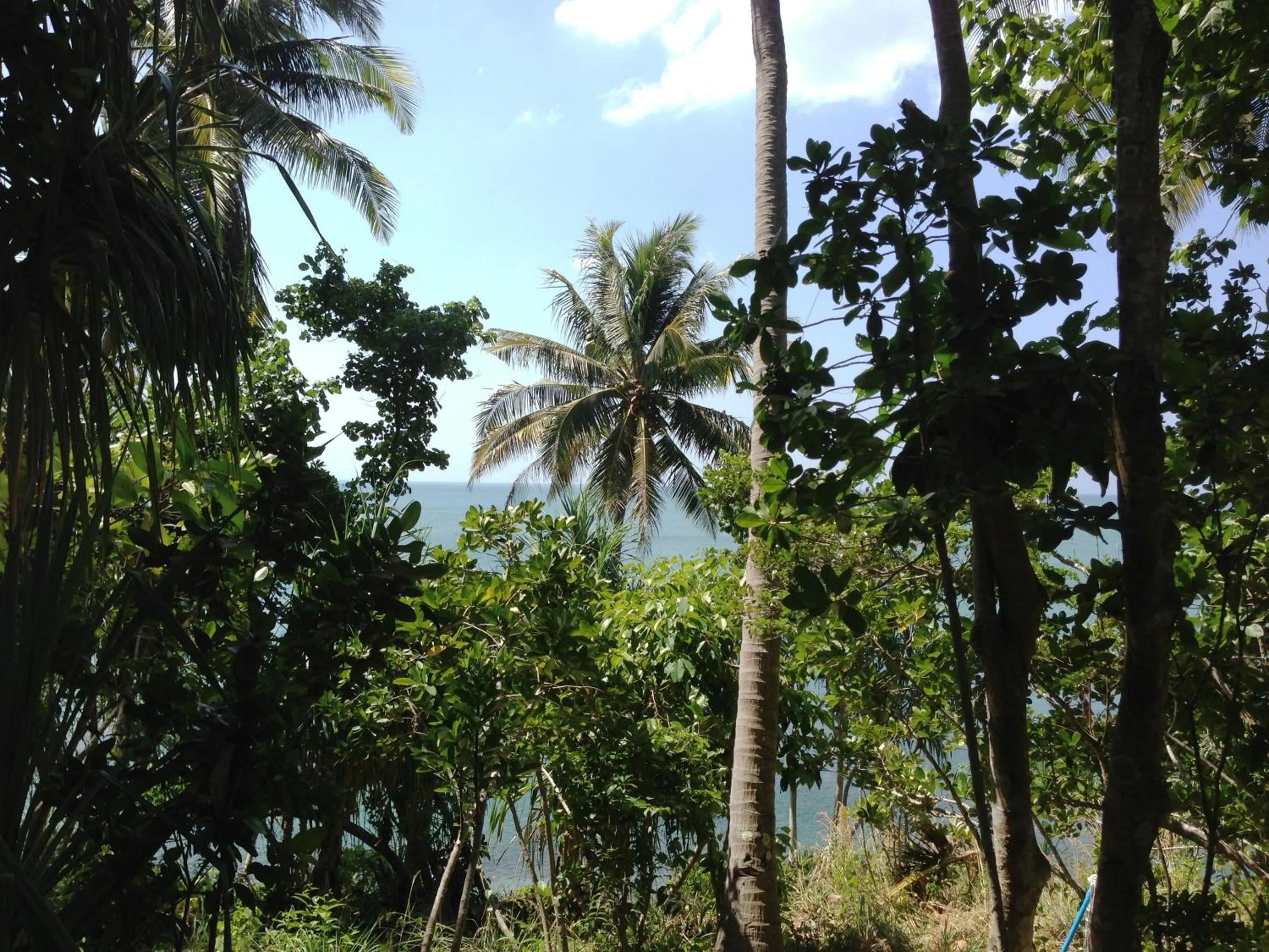 Garden in The Narima - SHA Plus