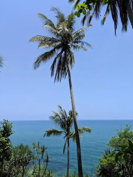 The Narima - SHA Plus