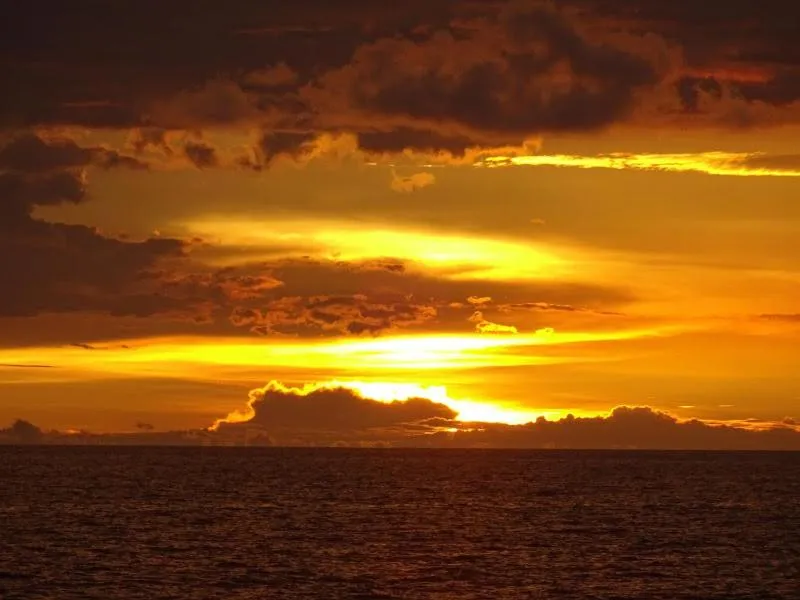 The Narima - SHA Plus