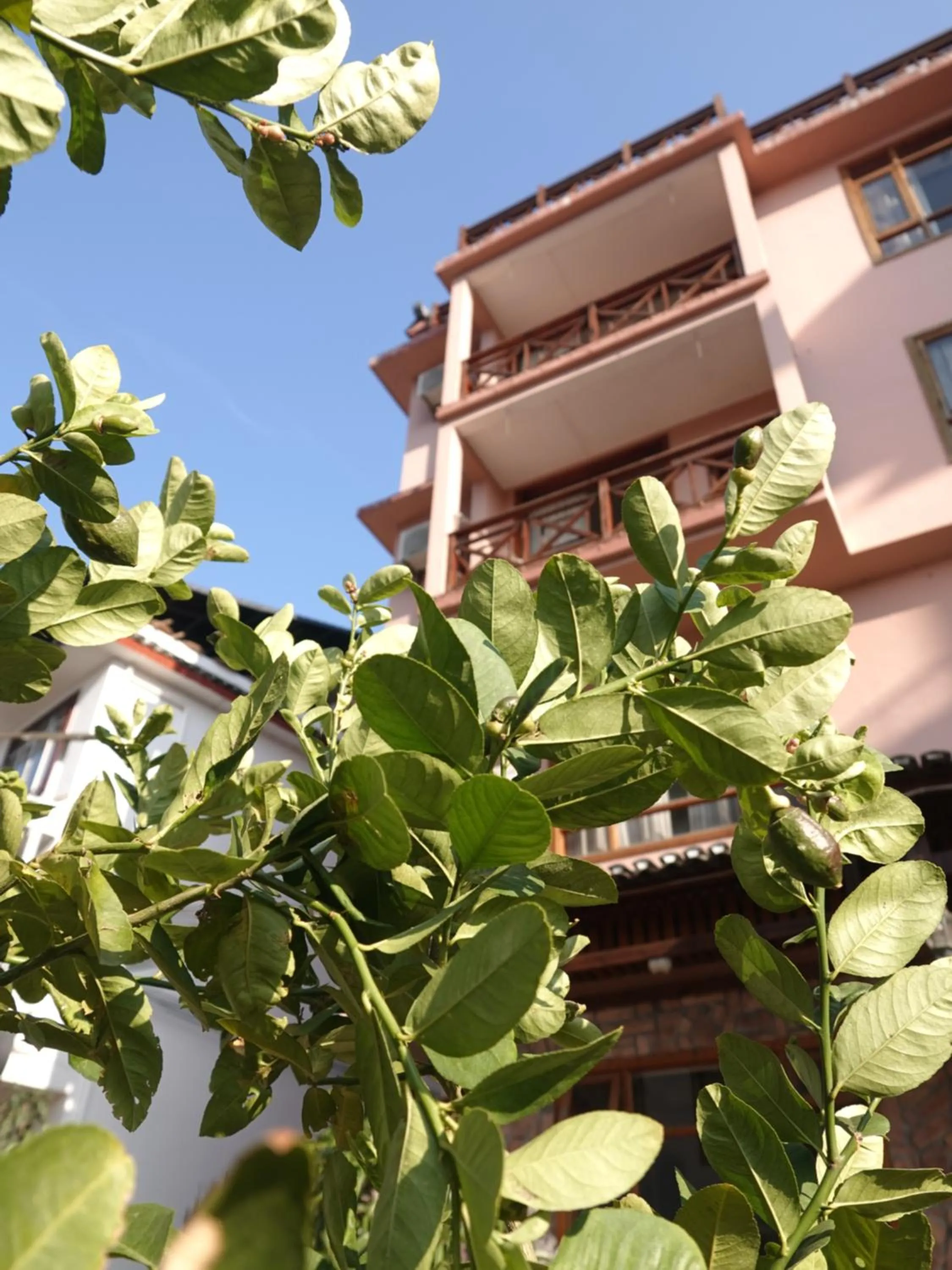 Property building in Yangshuo Xiao Long River Hotel