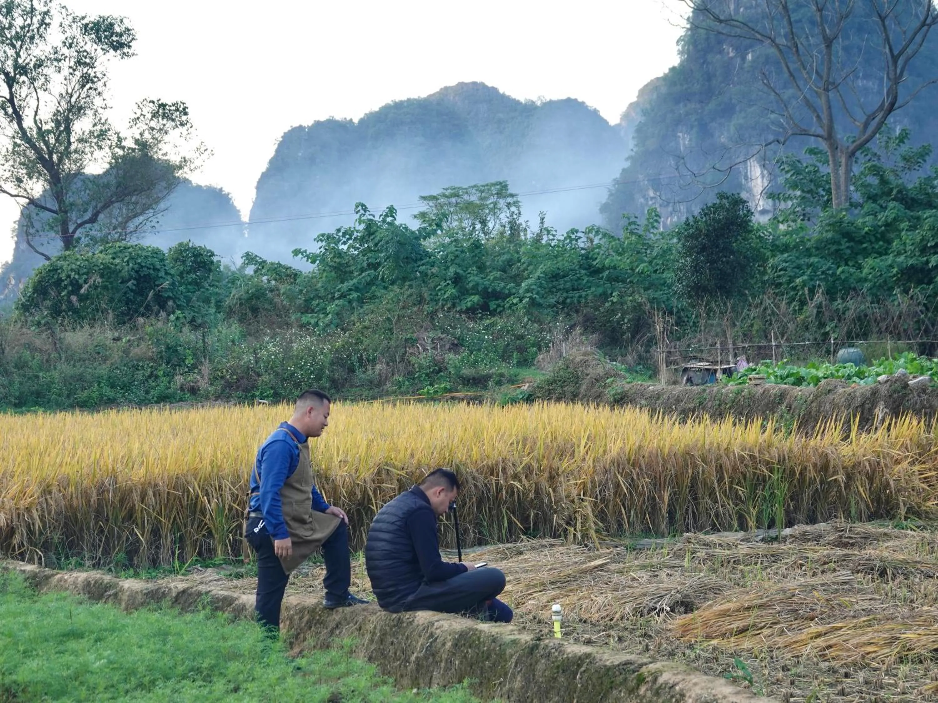 Natural landscape in Yangshuo Xiao Long River Hotel