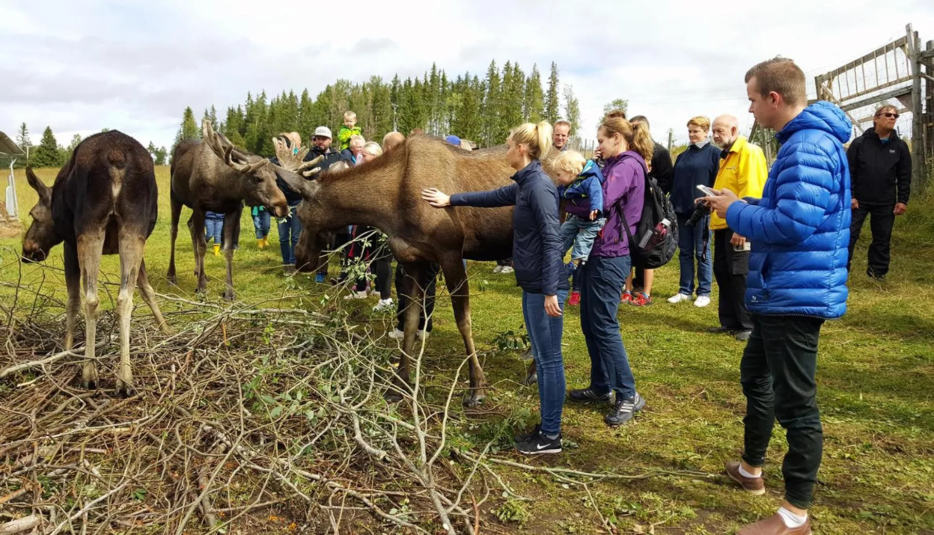 Nearby landmark in Jämtkrogen Hotell