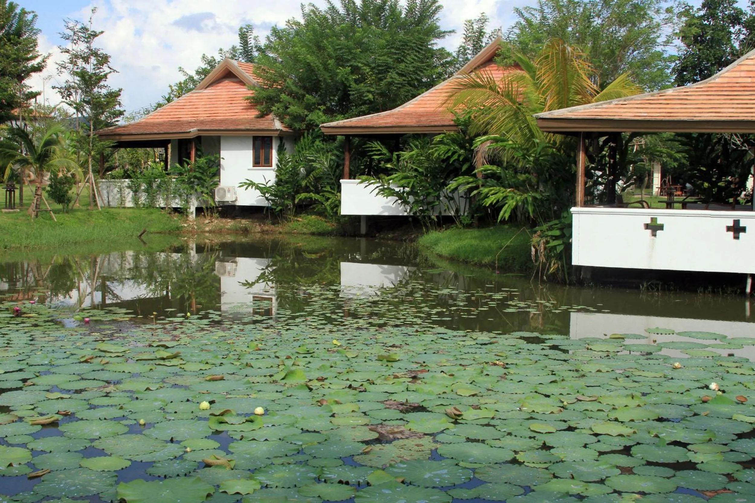 Garden in Jasmine Hills Lodge
