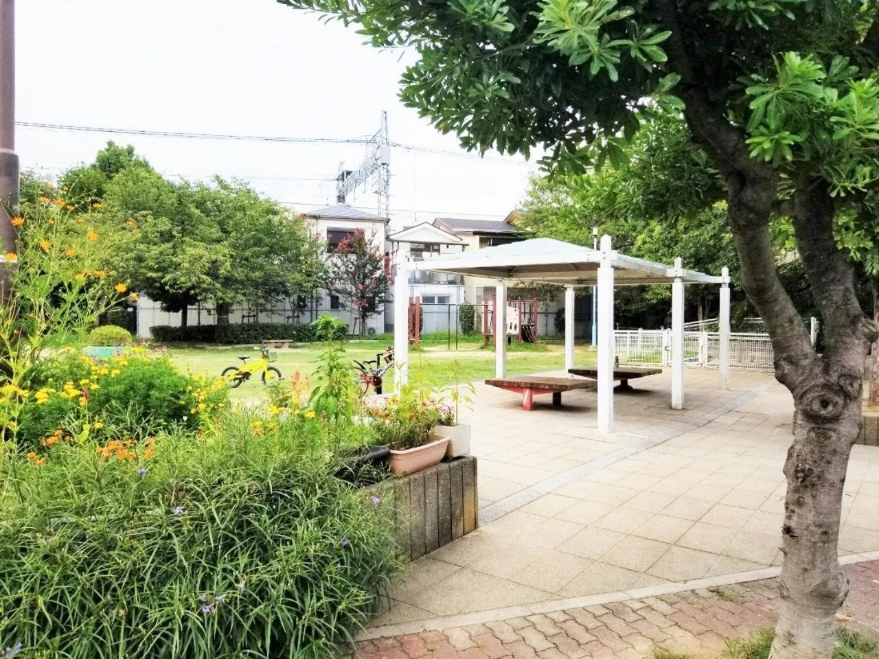 Activities in Jakotel