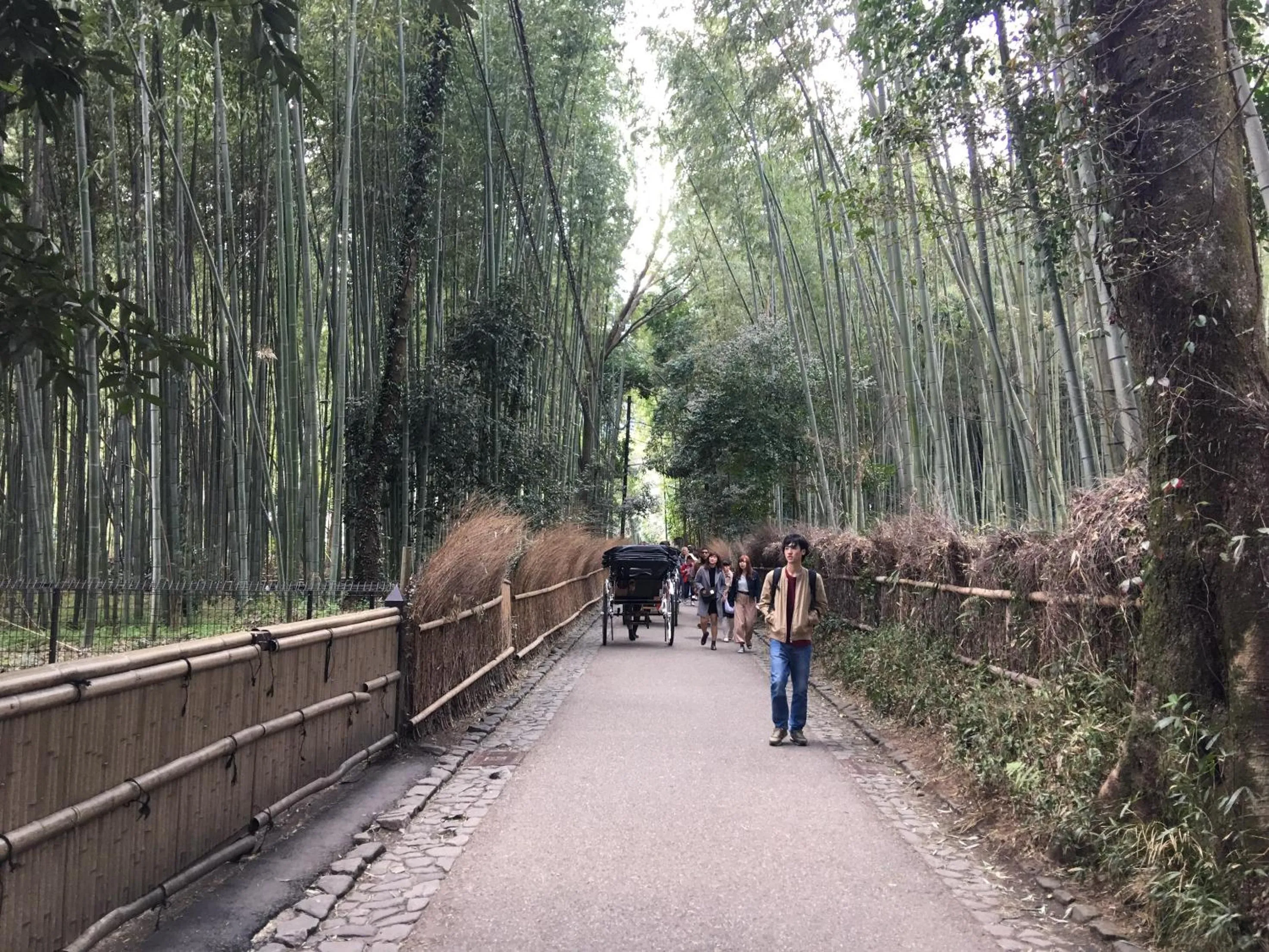 Nearby landmark in Jakotel