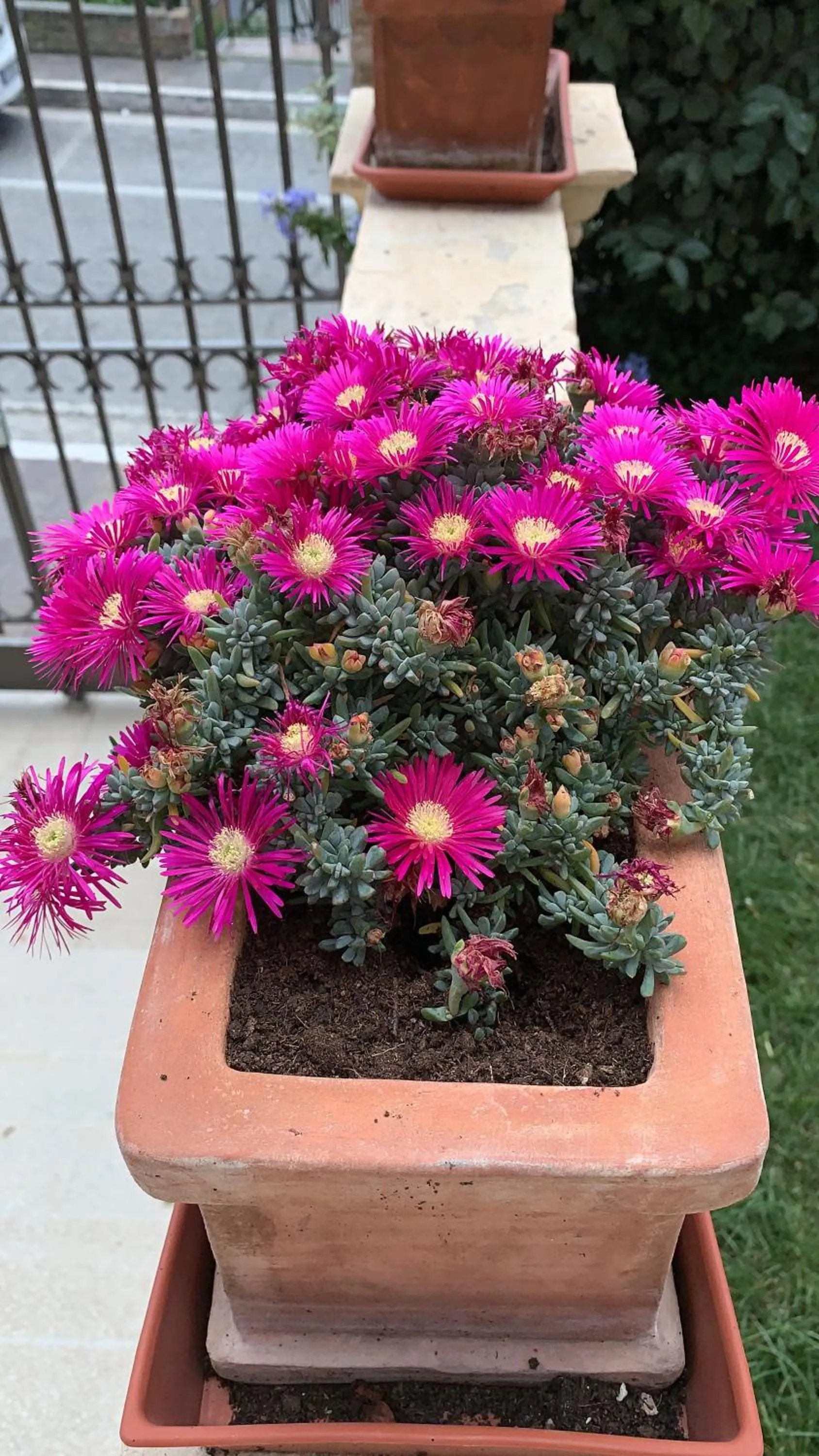 Villa Mascitti B&B Tortoreto Alto