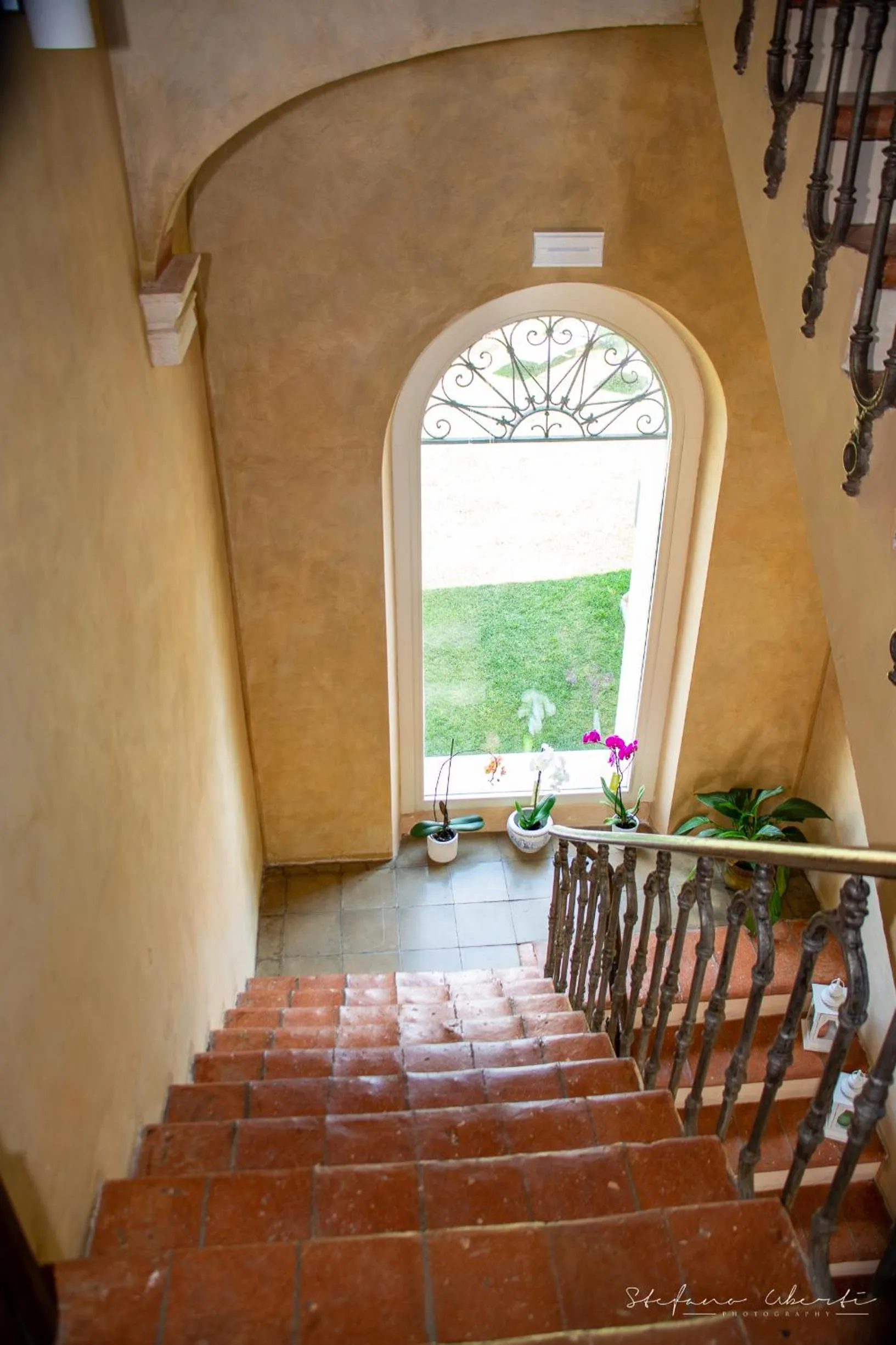 Garden view in Villa Mascitti B&B Tortoreto Alto