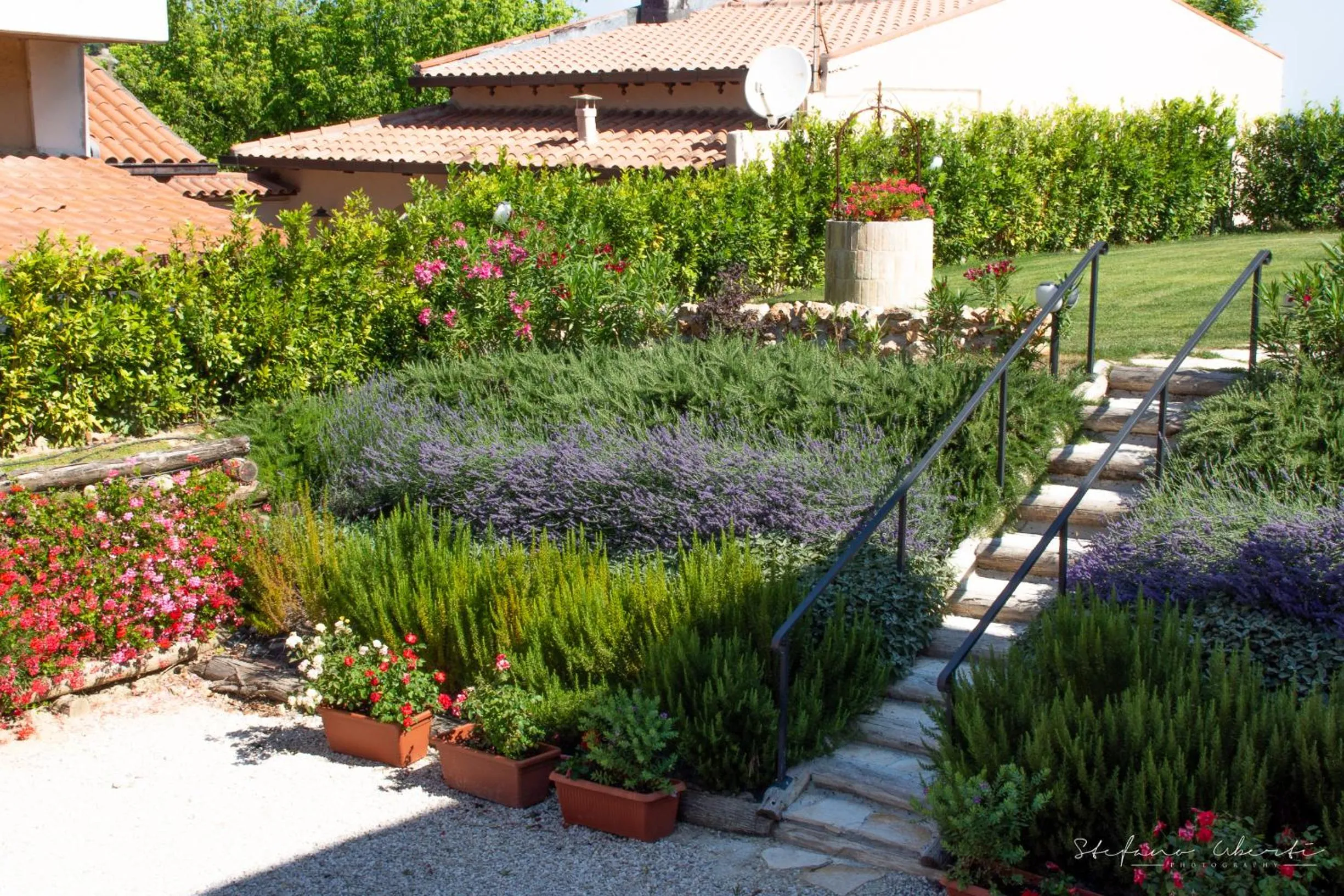 Garden in Villa Mascitti B&B Tortoreto Alto