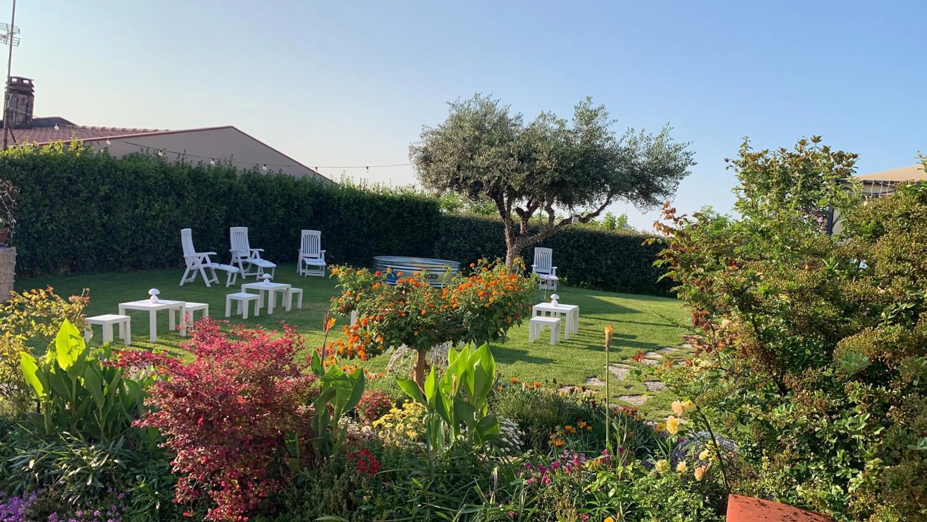 Garden in Villa Mascitti B&B Tortoreto Alto