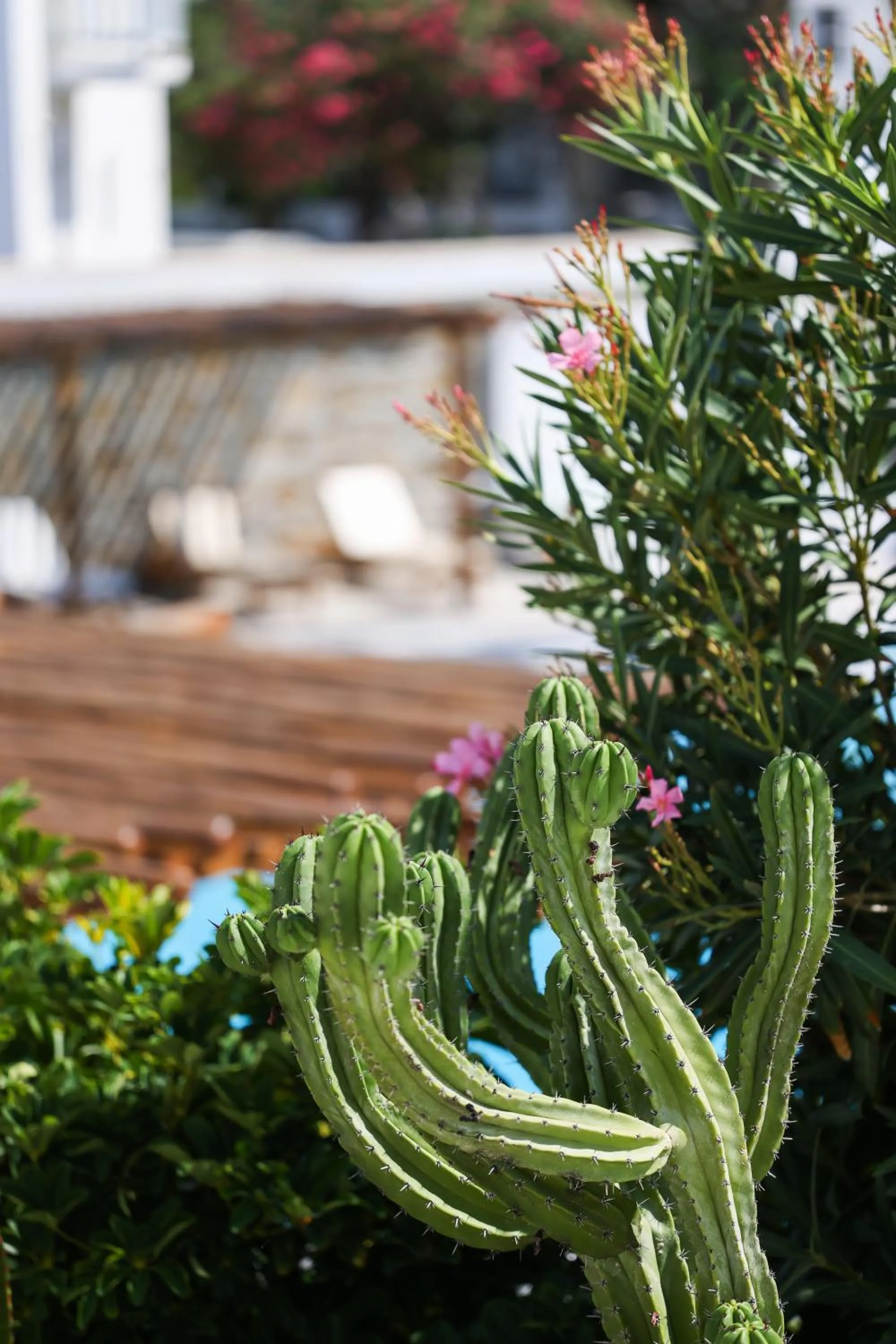 Poseidon Hotel Suites