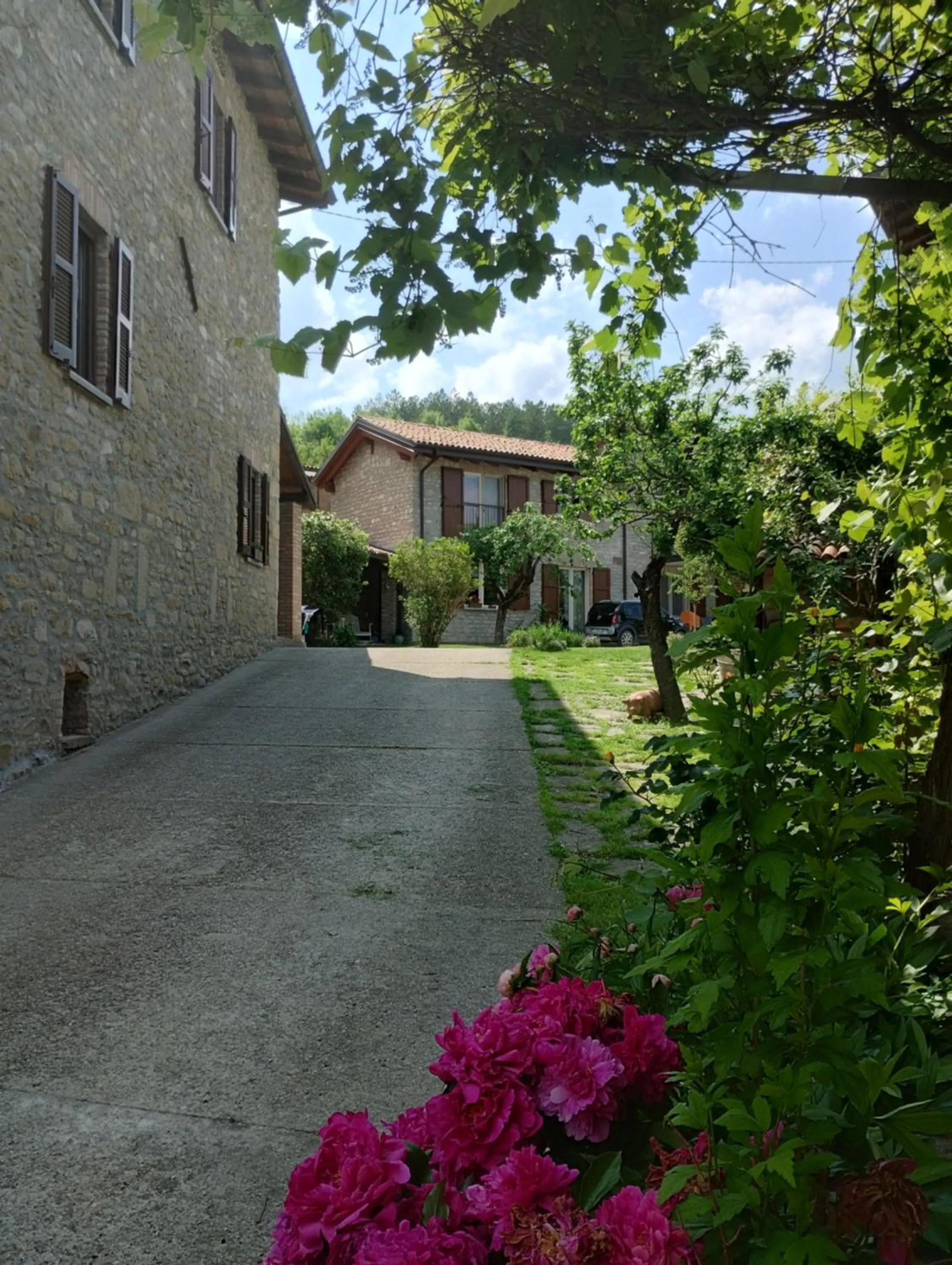 Garden in La Pomella