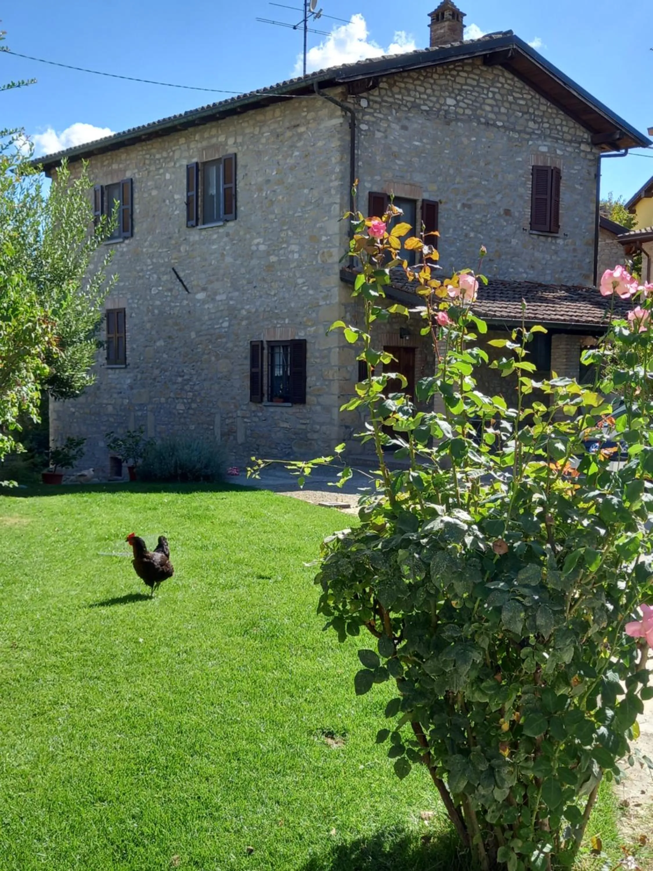 Garden in La Pomella