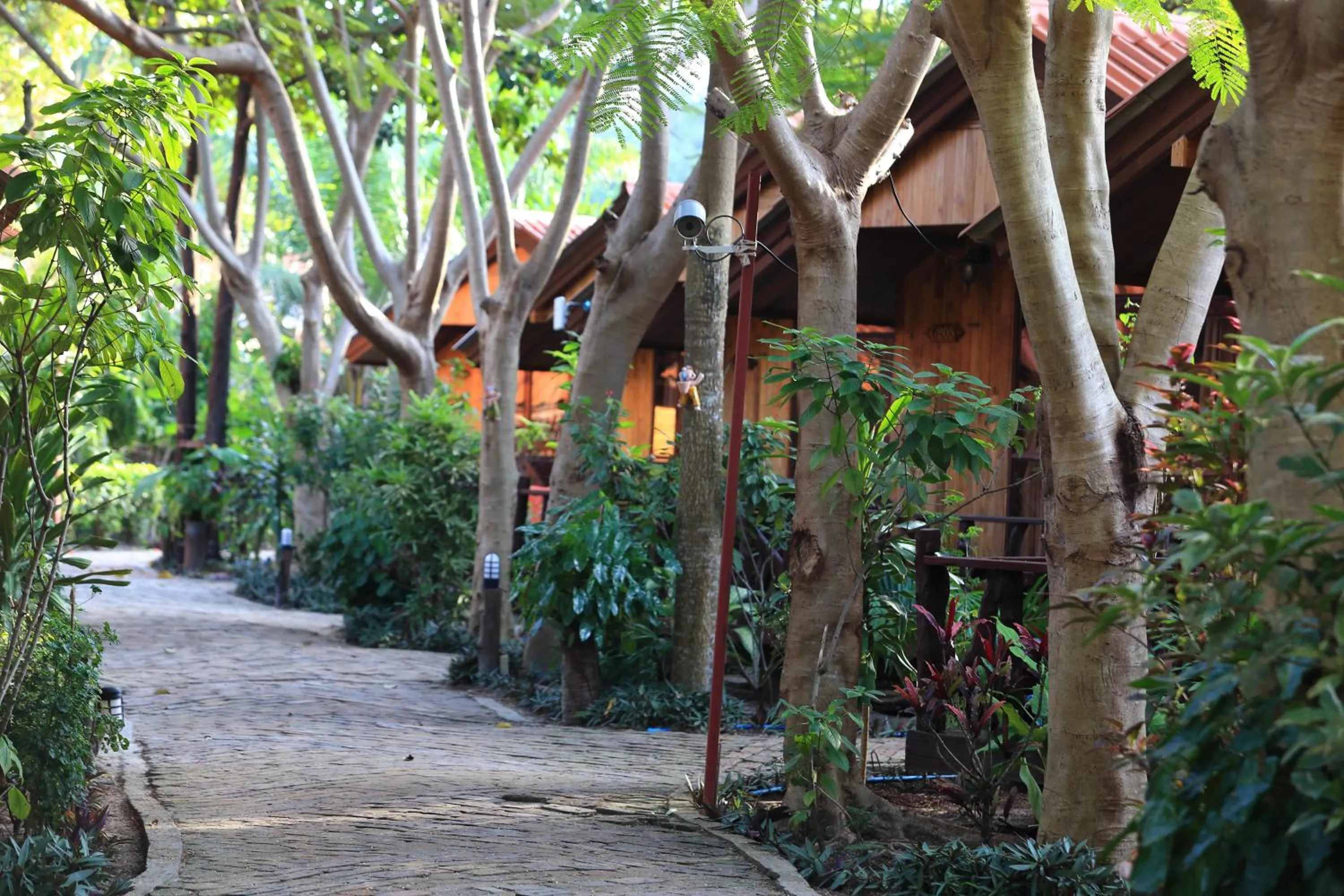 Natural landscape in Bundhaya Resort