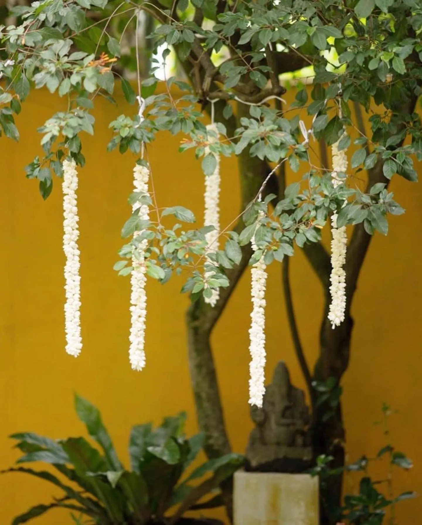 Restaurant/places to eat in Boutique Spice Colombo