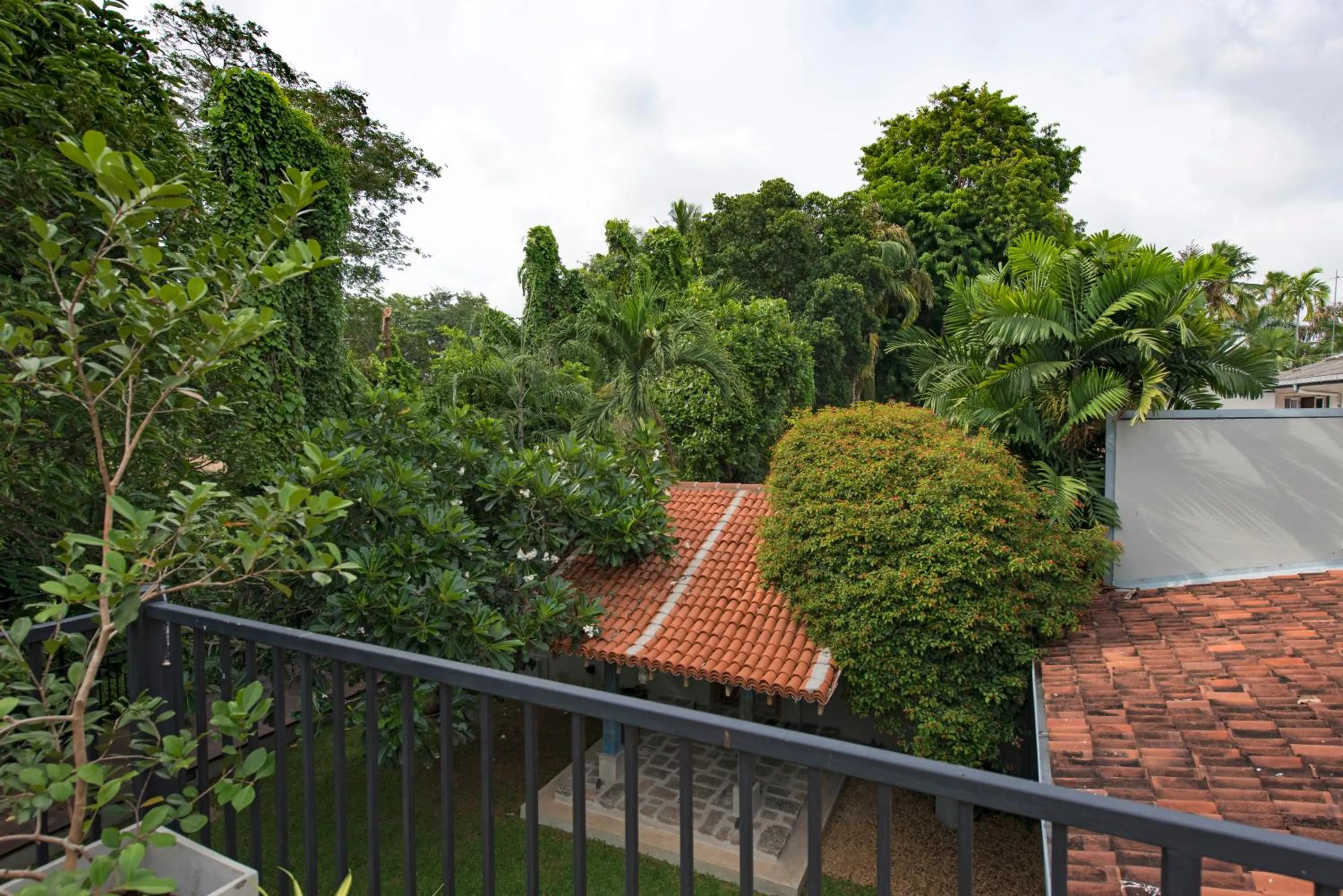 Natural landscape in Boutique Spice Colombo