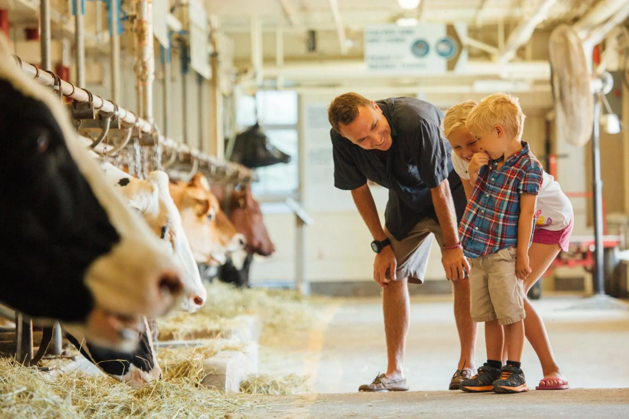 Nearby landmark in Holiday Inn & Suites Ottawa Kanata by IHG