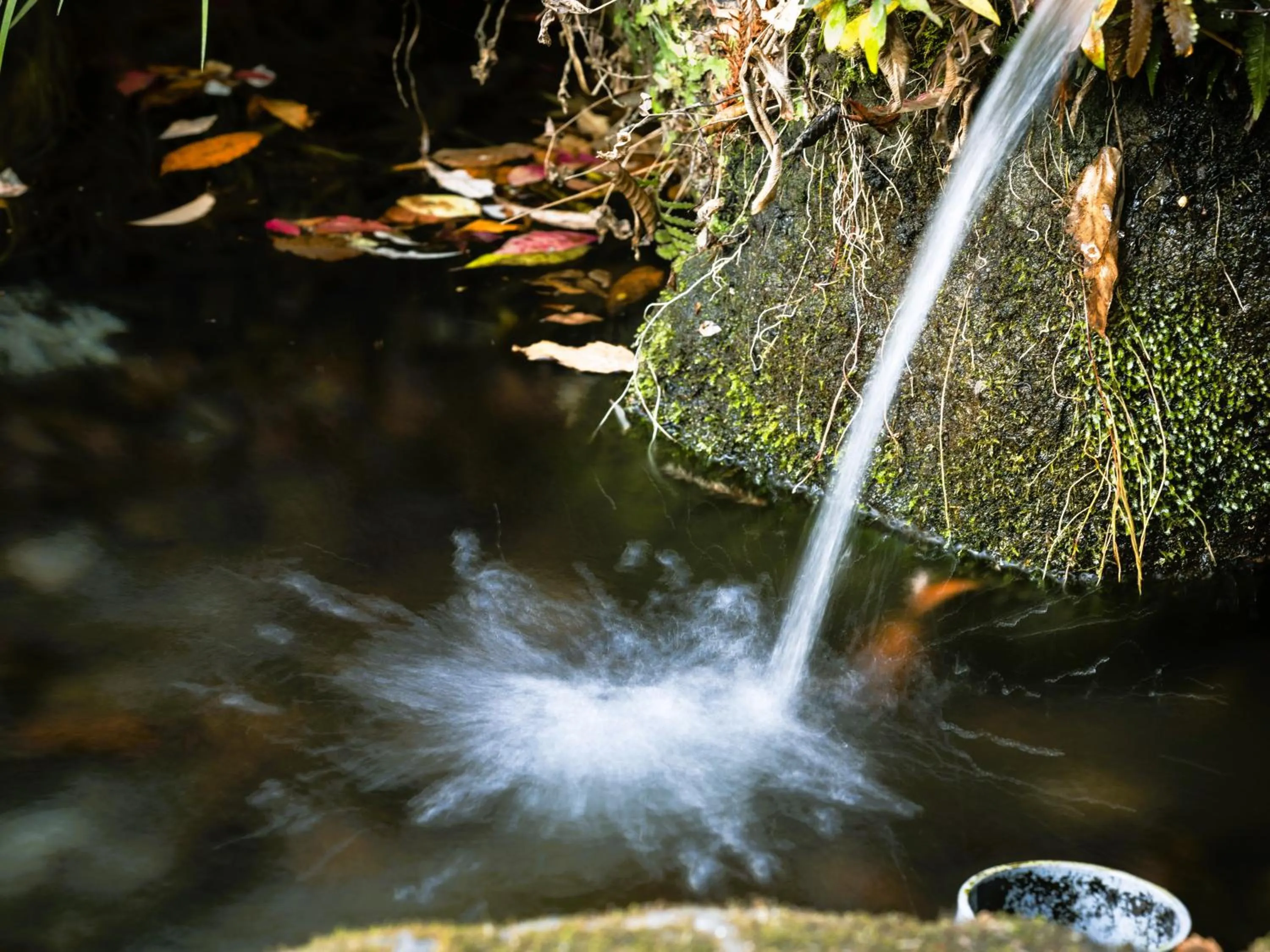 Garden in Hotaru no Yado Sendou