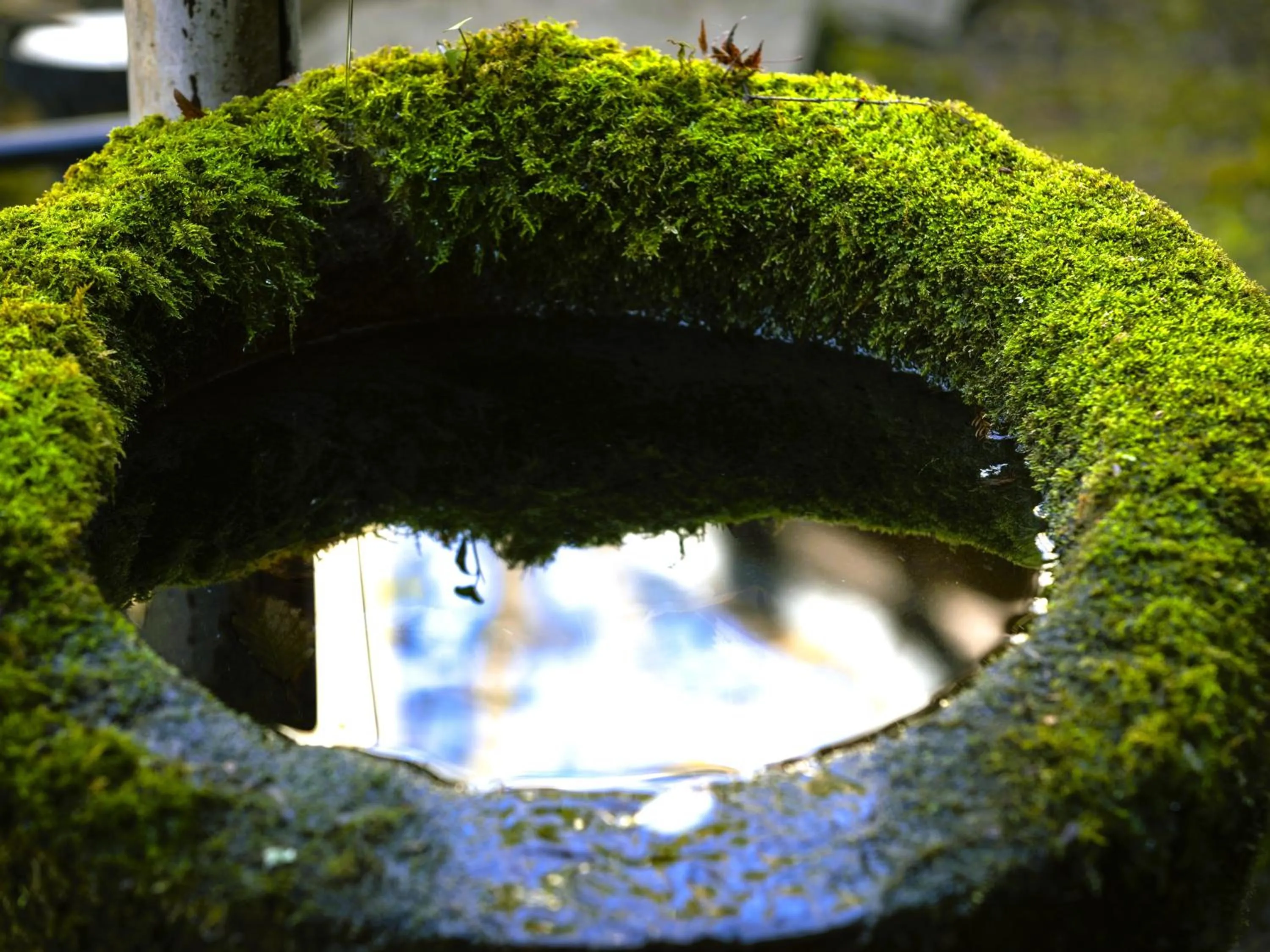 Garden in Hotaru no Yado Sendou