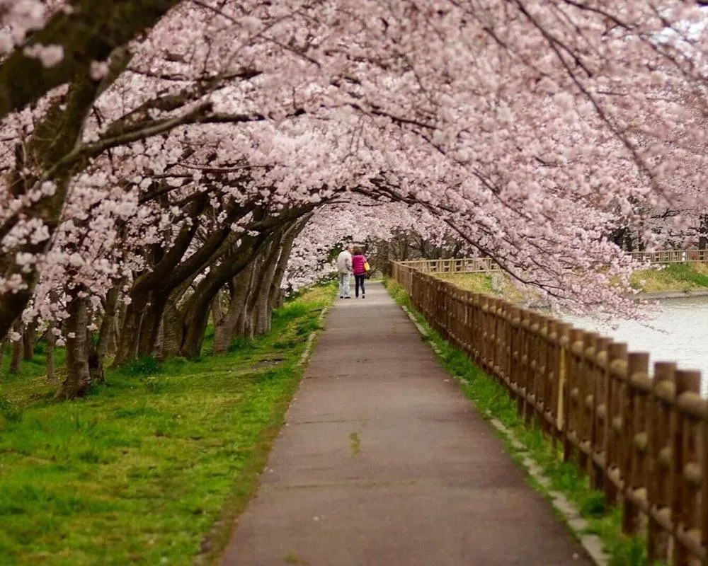 Nearby landmark in ホテル マリオン 鈴鹿