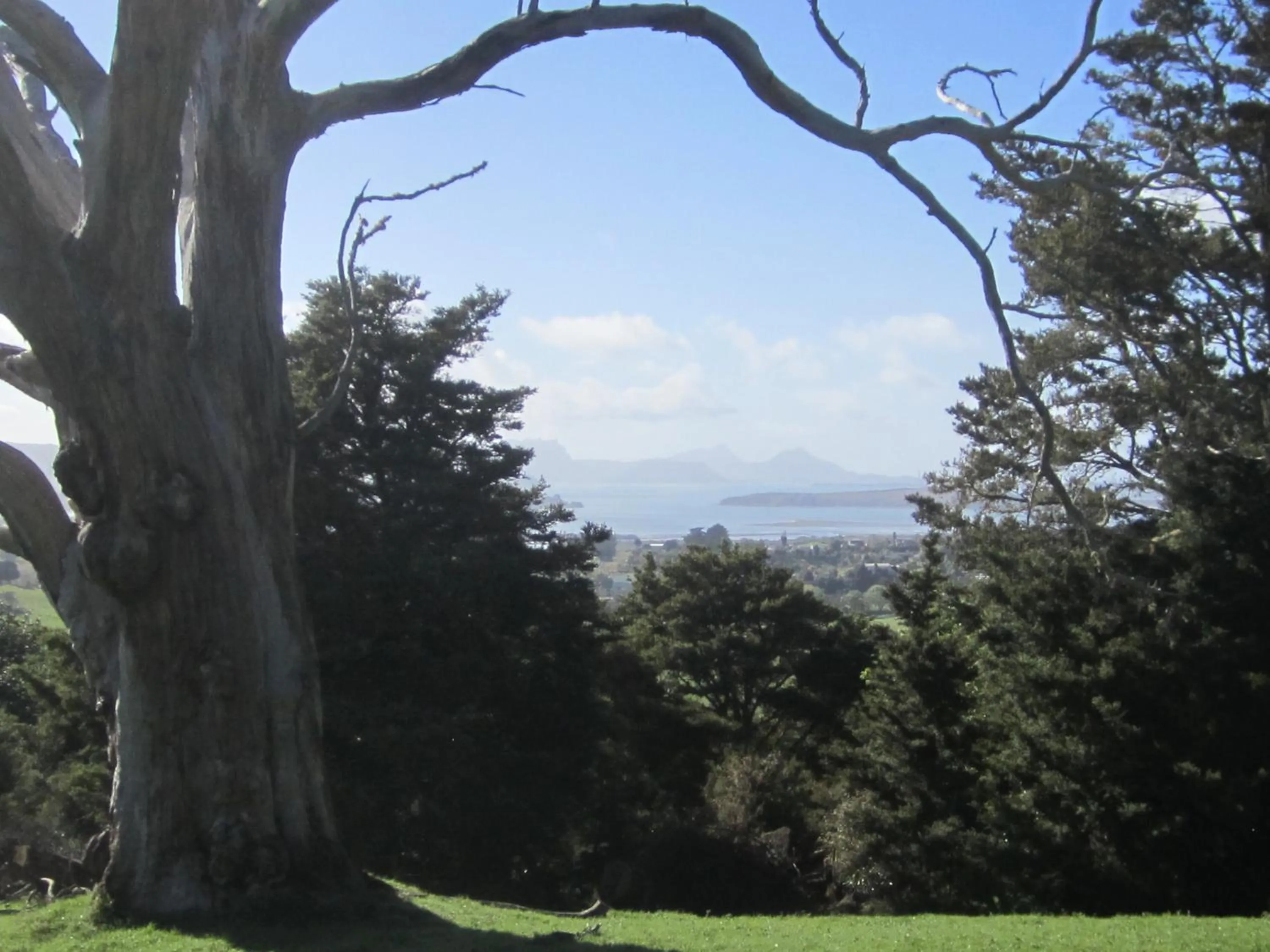 Garden in Hyecroft Lodge