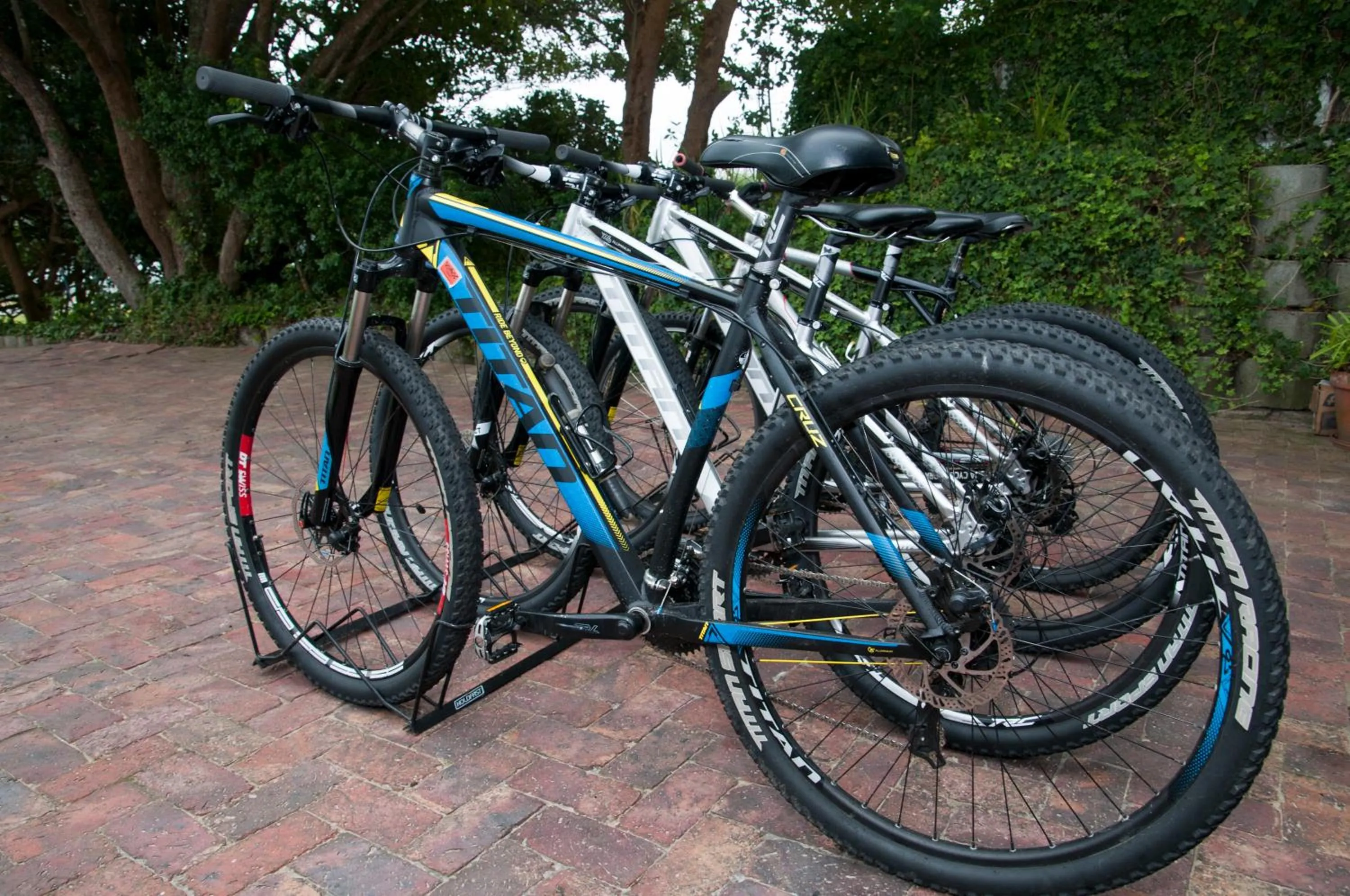 Activities in The Knysna Belle Guest House