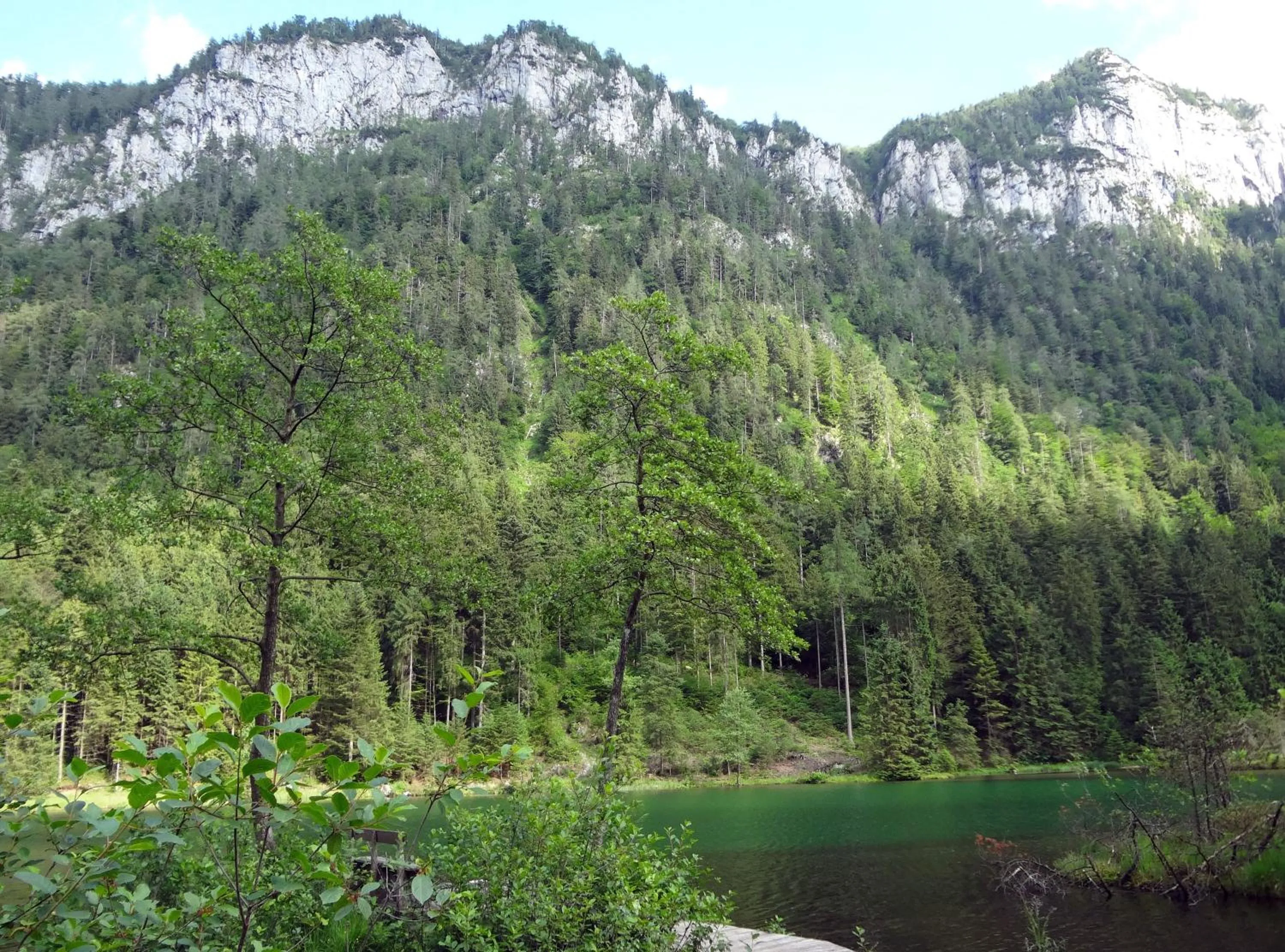 Nearby landmark in Alpenhotel Gastager