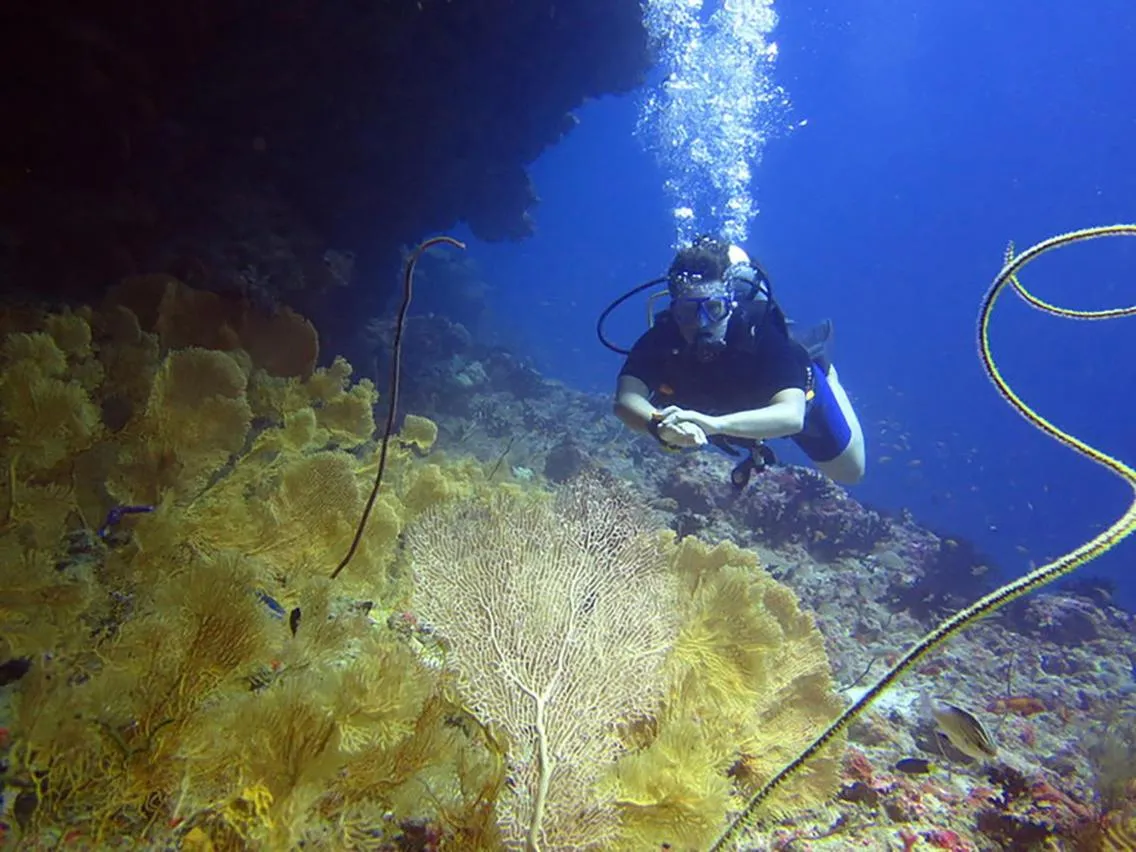Other in Velana Beach Hotel Maldives